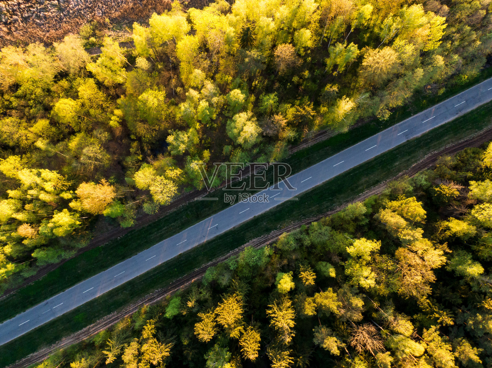 森林道路鸟瞰图。秋天的风景与道路和黄色,绿色的树木照片摄影图片