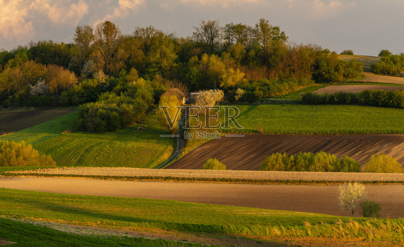 波兰波尼齐地区美丽的波浪形田野照片摄影图片