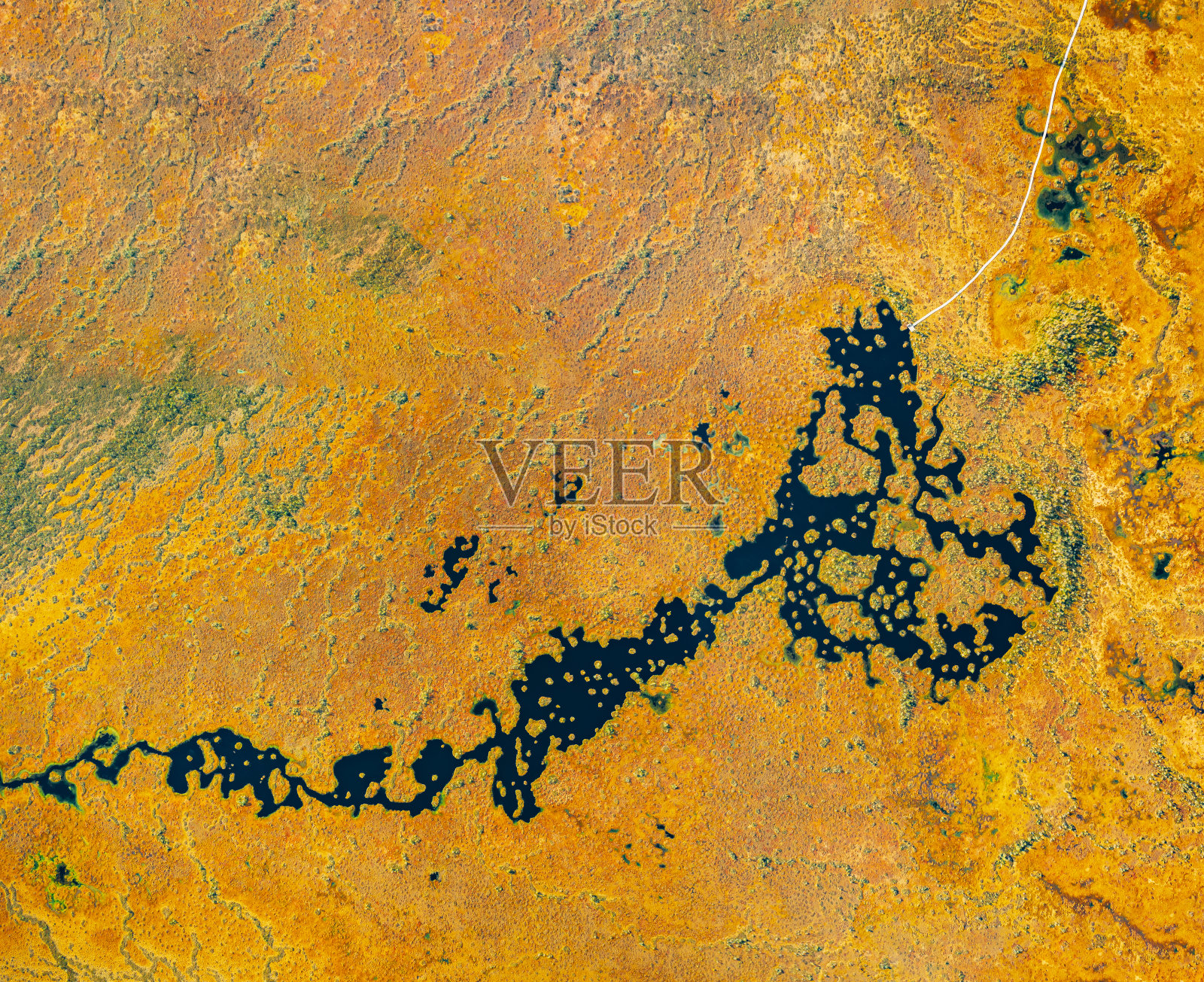 白俄罗斯维捷布斯克地区的记忆区。Yelnya沼泽。有许多湖泊的高地和过渡沼泽。叶尔尼亚自然保护区景观鸟瞰图。著名的自然地标照片摄影图片