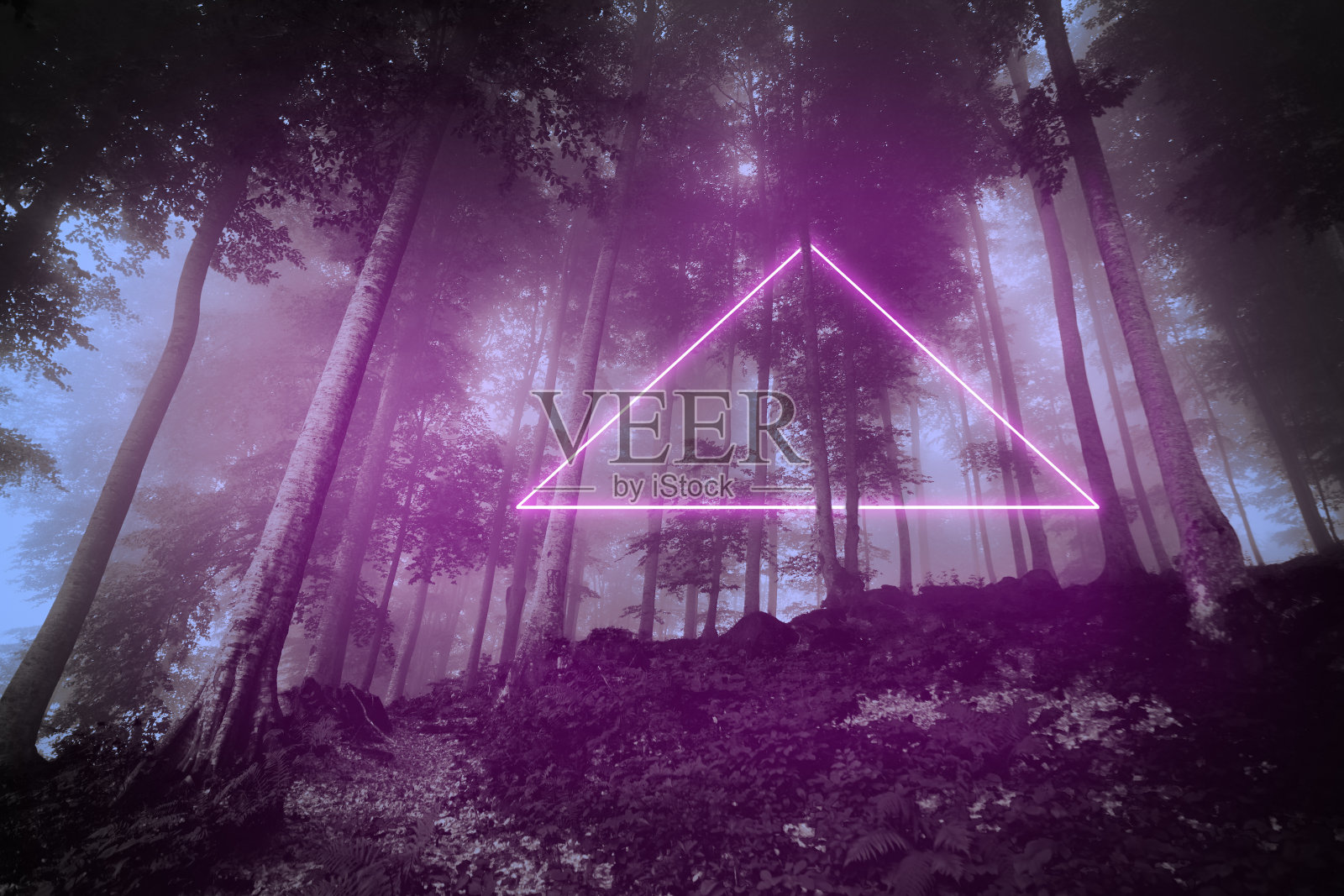 紫色的霓虹灯在森林和树木之间照片摄影图片