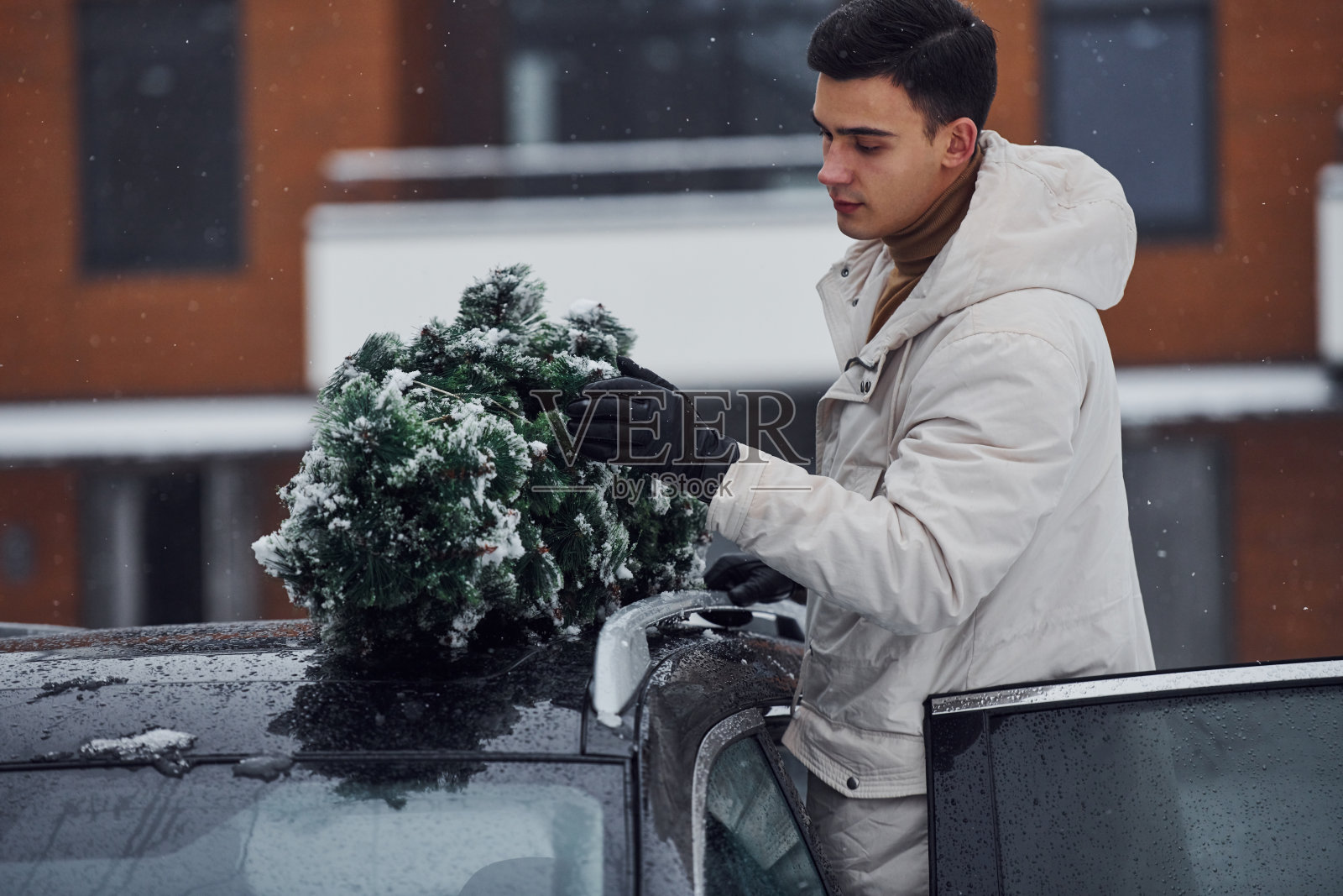 穿白色衣服的人把圣诞冷杉树放在他的车顶户外照片摄影图片