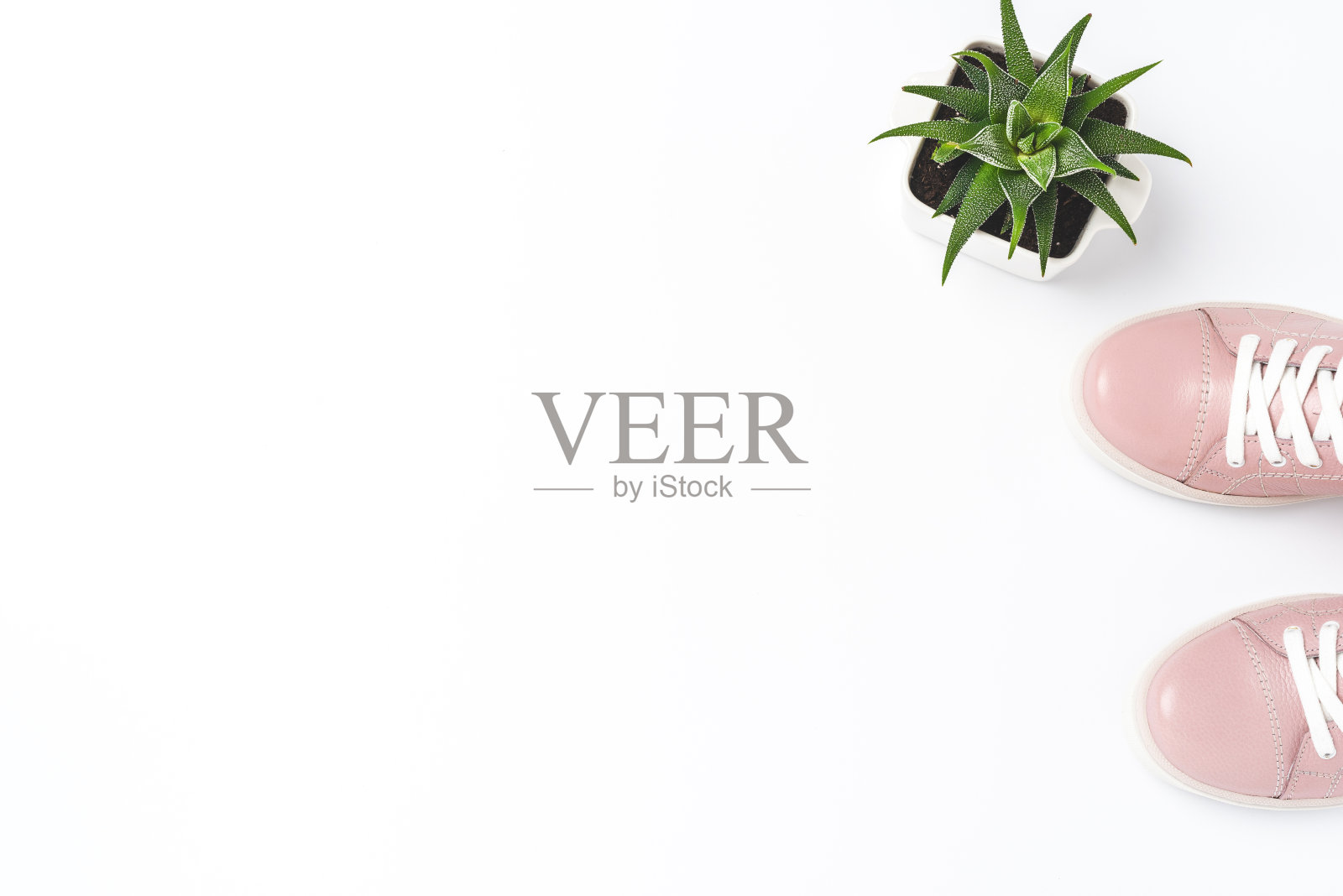 女性的配件。俯视图照片摄影图片