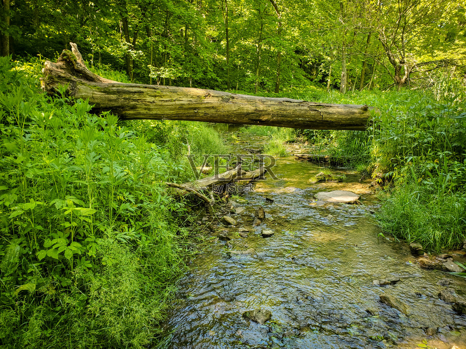 堕落的桥照片摄影图片