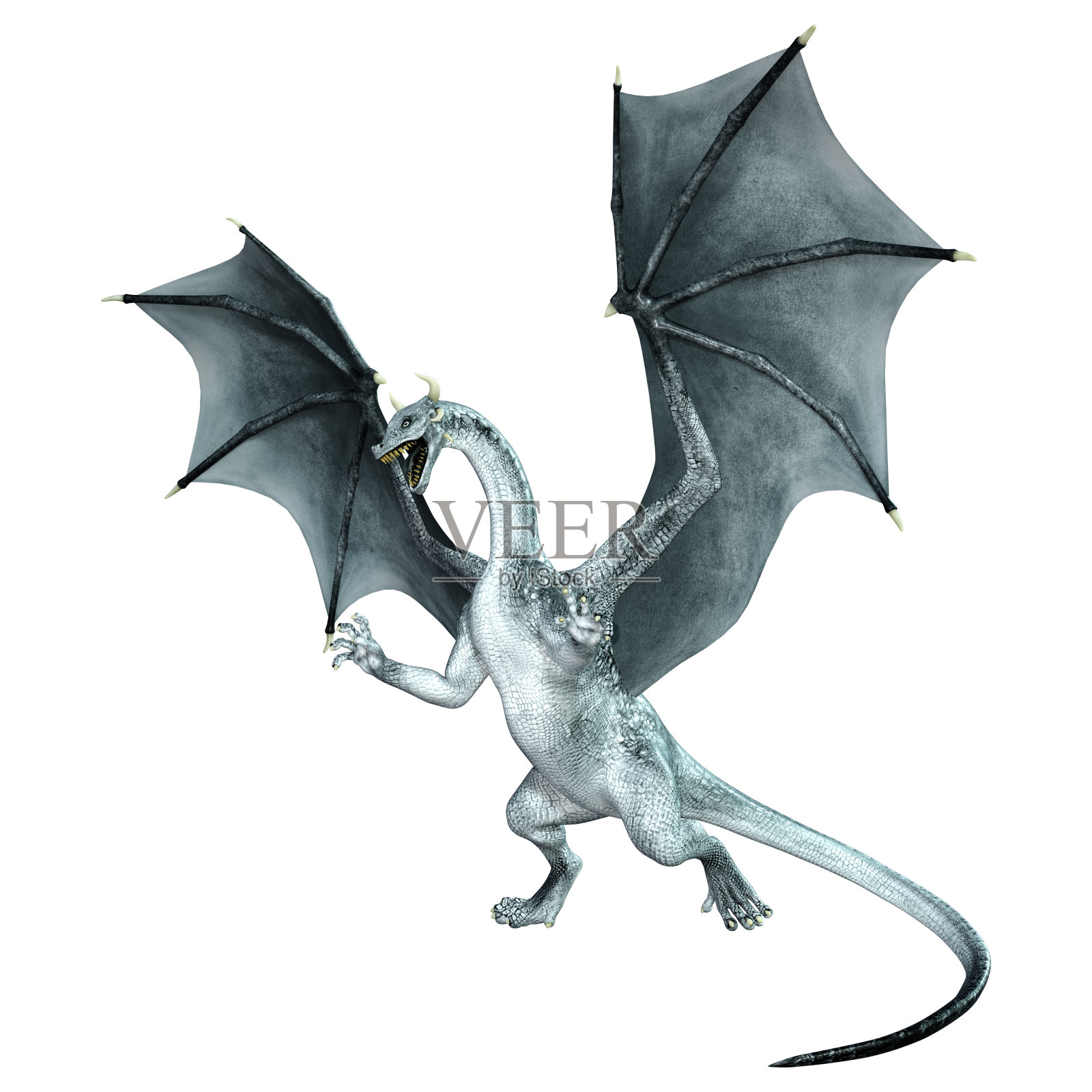 3D插图幻想龙在白色照片摄影图片