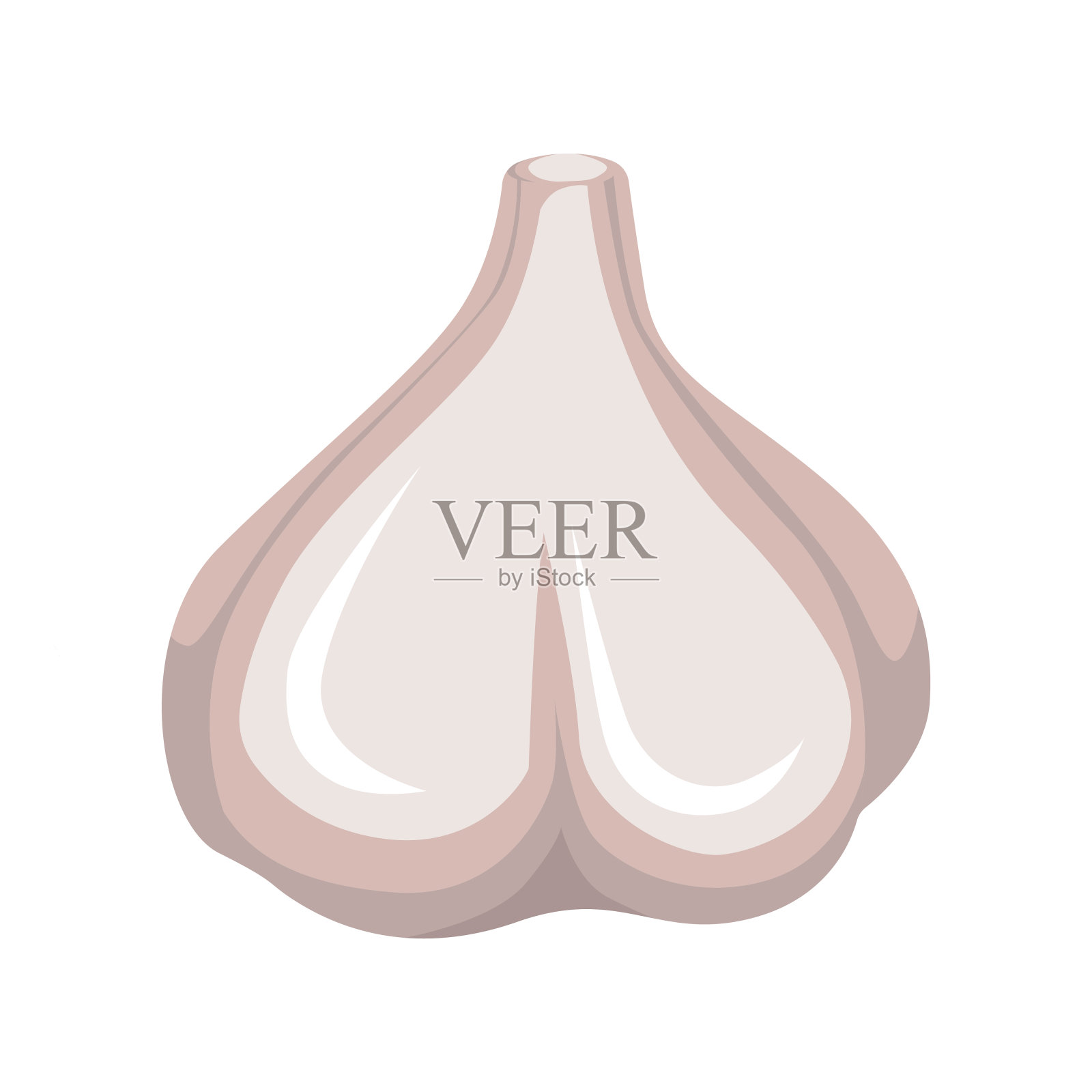 白色背景上的整个大蒜球。健康食品。矢量插图在平面风格。插画图片素材