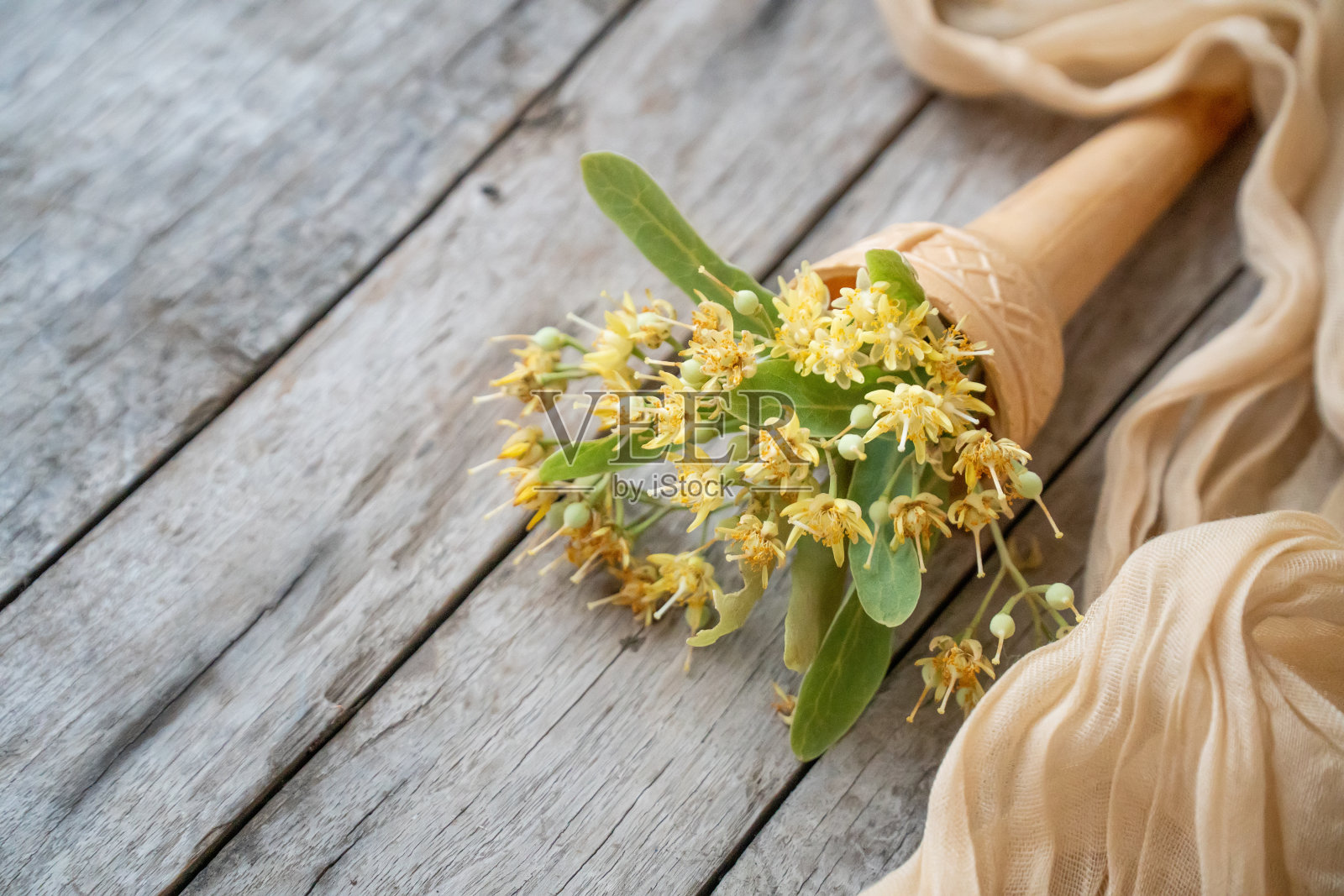 新鲜的青柠花用来泡茶照片摄影图片