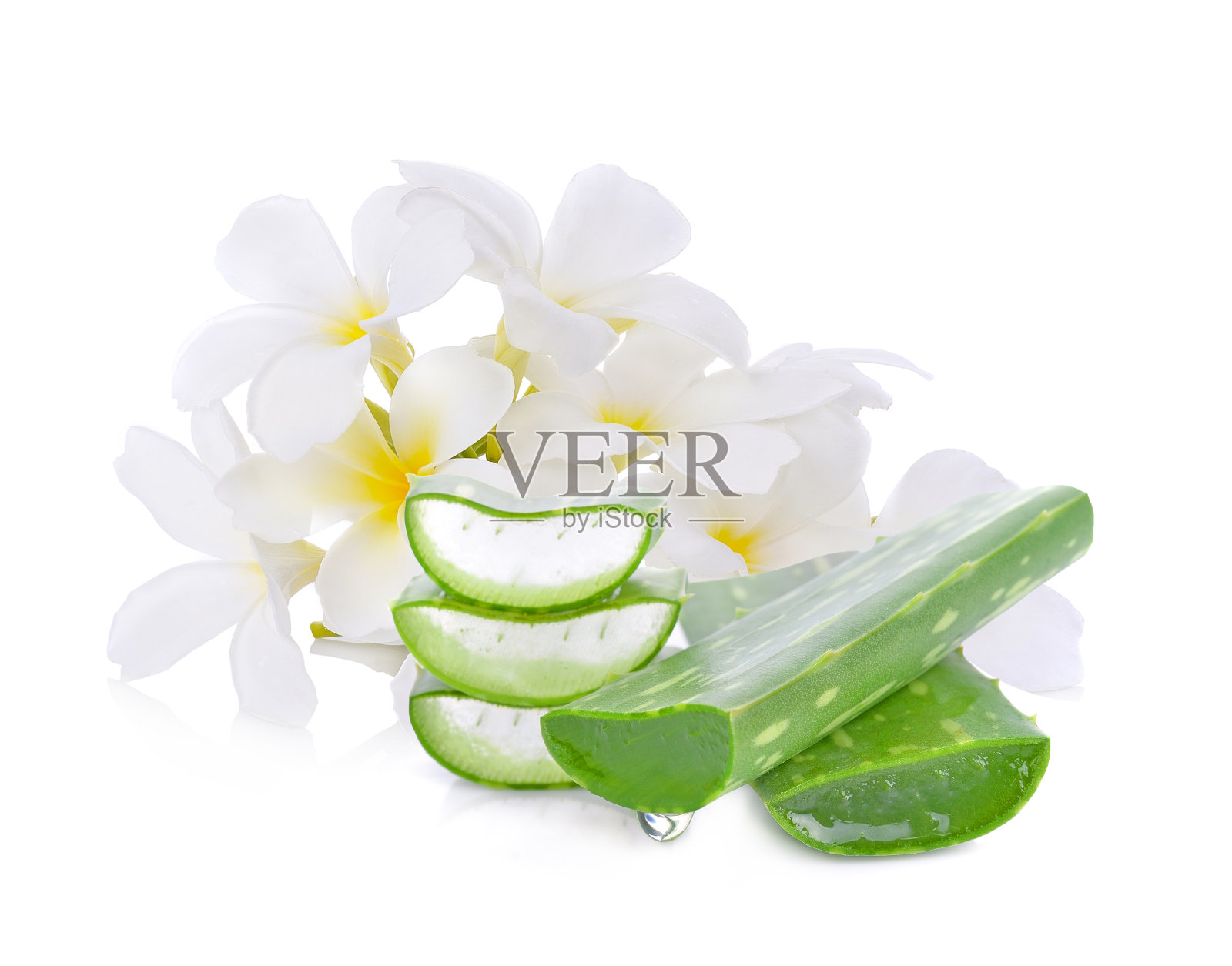 芦荟新鲜叶。在白色背景上隔离照片摄影图片