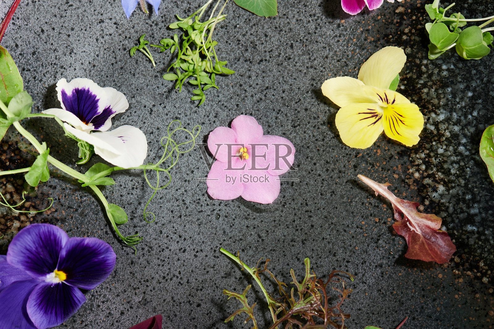 有机食品的主题照片摄影图片