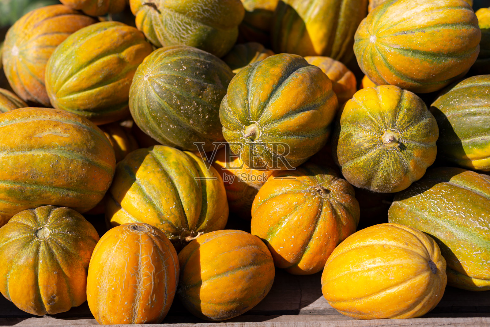 接近成熟的黄色甜瓜直接阳光照片摄影图片