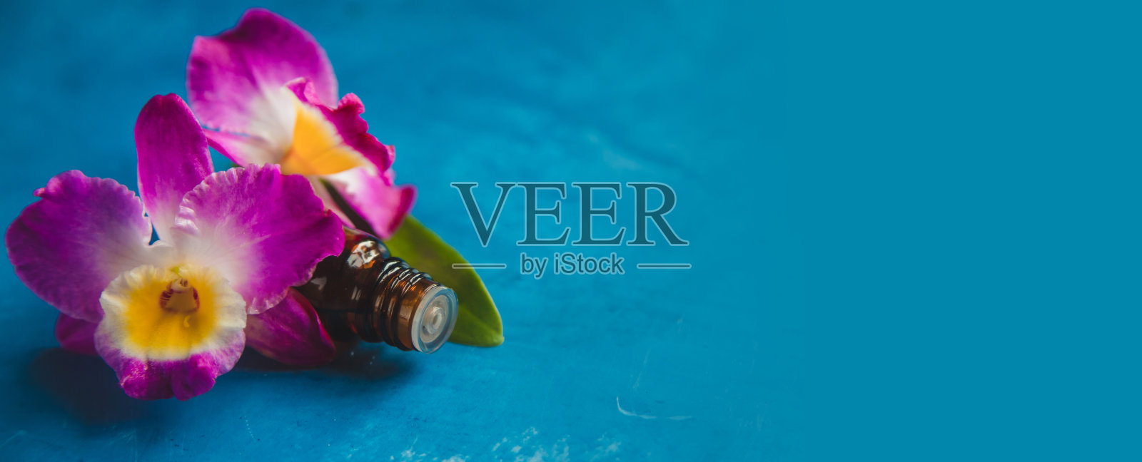 花和植物提取物在小瓶。有选择性的重点。照片摄影图片