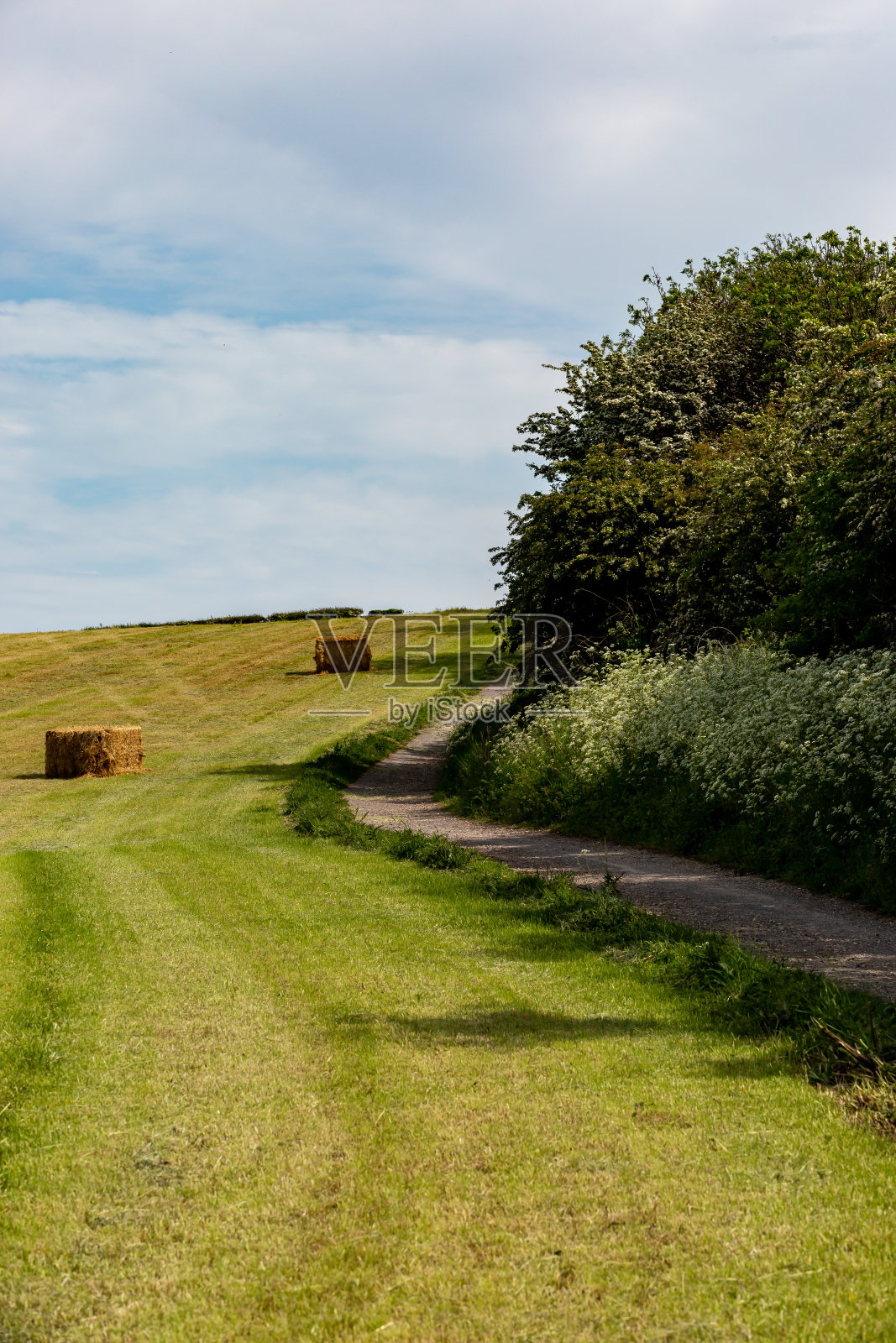 苏塞克斯(Sussex)田野里的干草堆照片摄影图片
