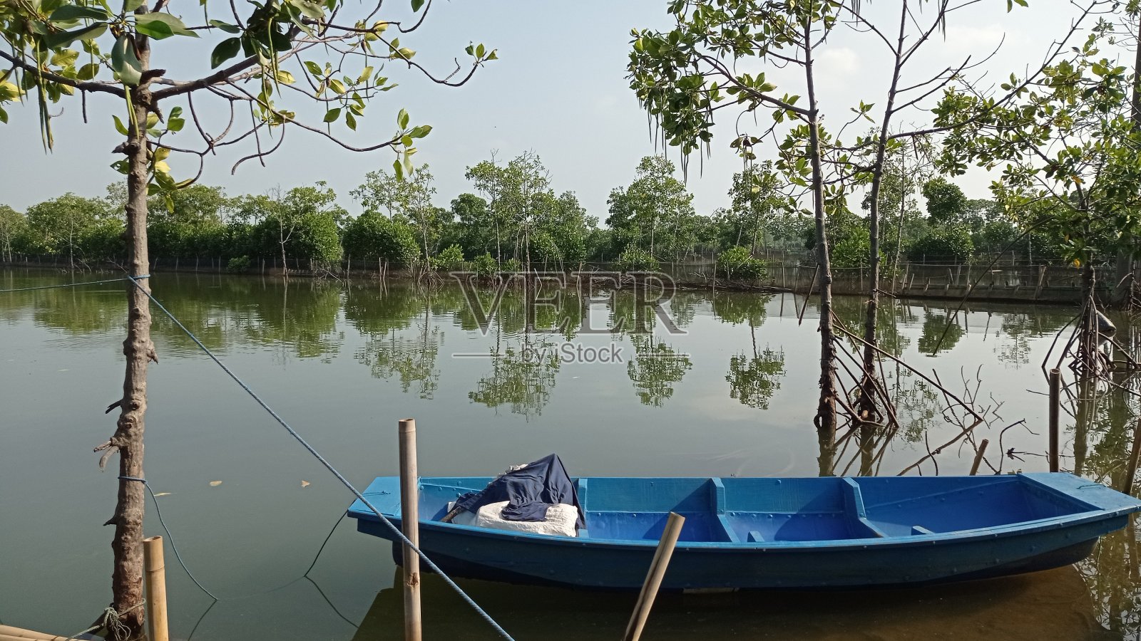 红树林和鱼塘里的蓝船。照片摄影图片