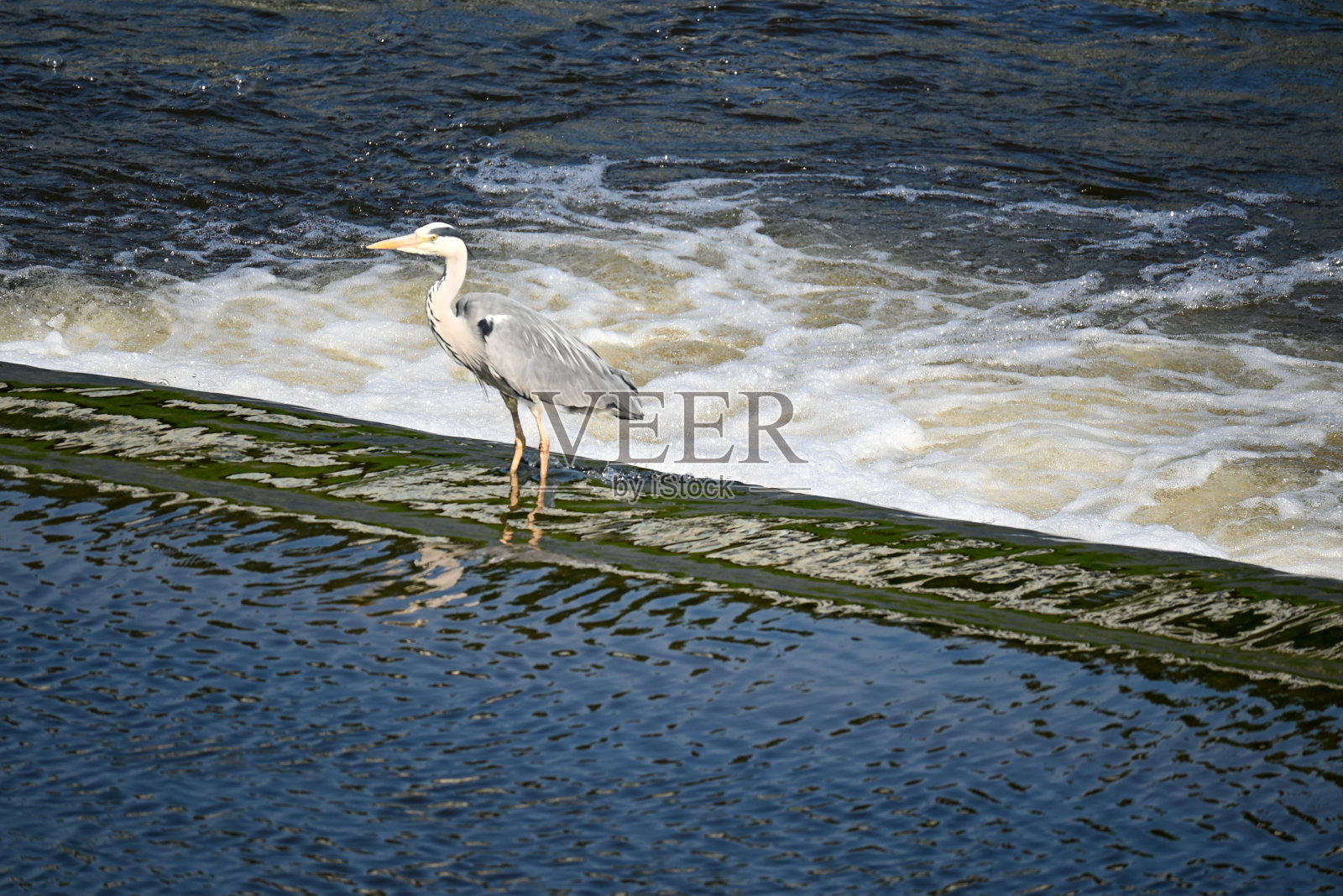 切斯特的美丽景色,一个美丽的城镇。照片摄影图片
