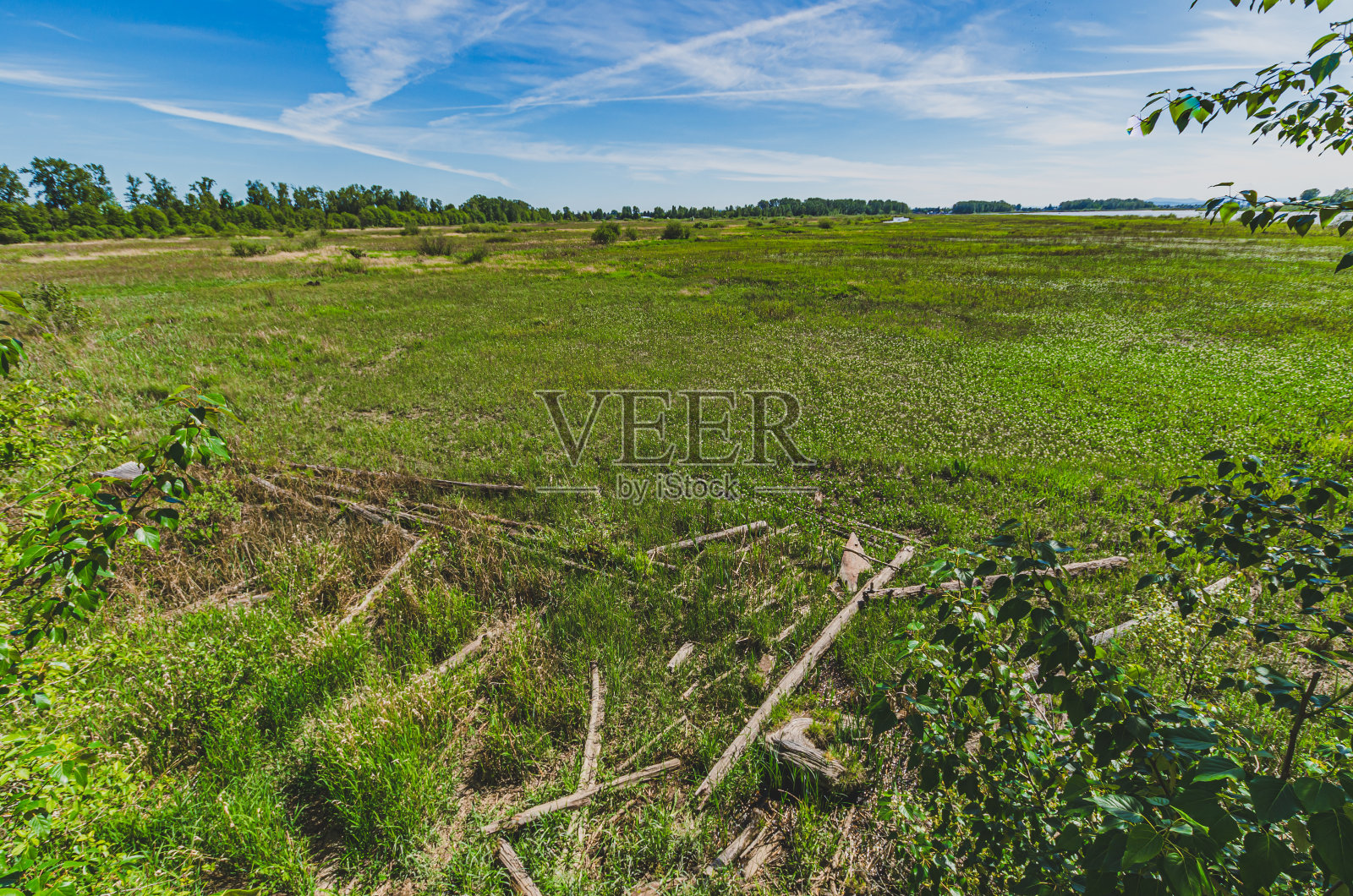 绿色和蓝色的风景,阳光灿烂的天空照片摄影图片