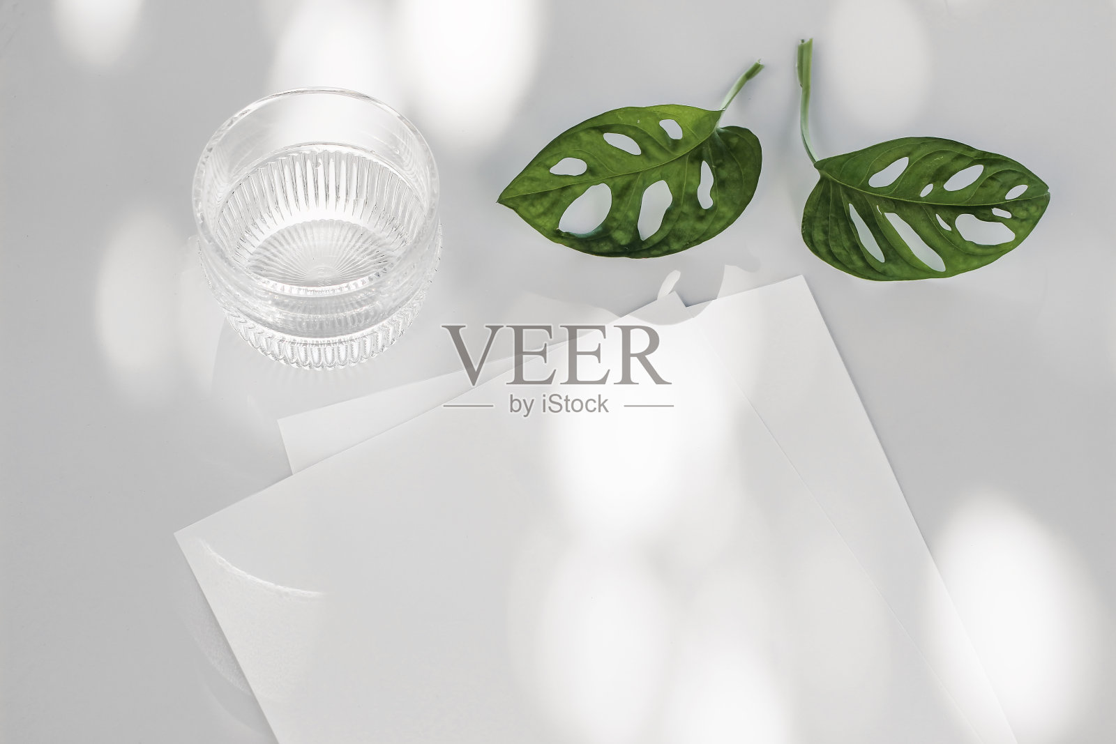 热带夏季文具模型。空白的纸,晶莹的水和绿色的树叶。阳光下的白色桌子背景。自然光影条纹叠加。假期的概念。照片摄影图片