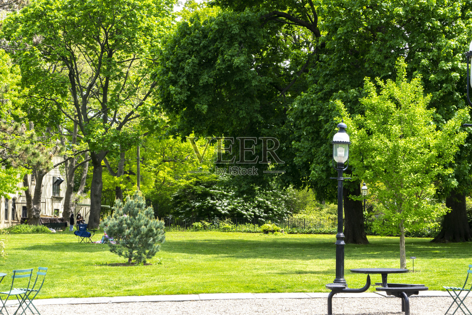 美丽的花园区域与绿色的树篱。有篱笆、树木和开花植物的后院景观或公园。照片摄影图片