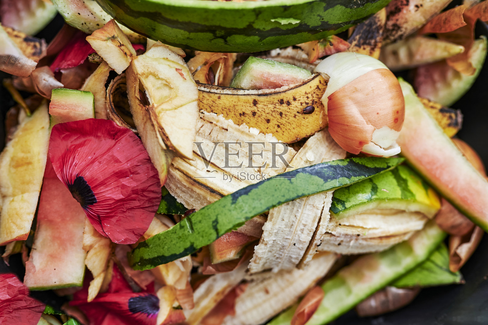可回收的各种有机废物。照片摄影图片