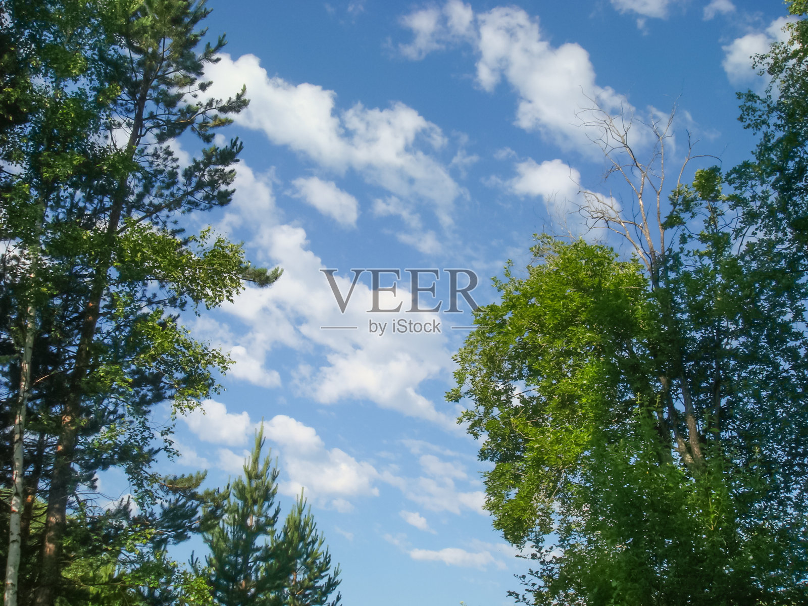 小博尔地区,哈卡西亚照片摄影图片