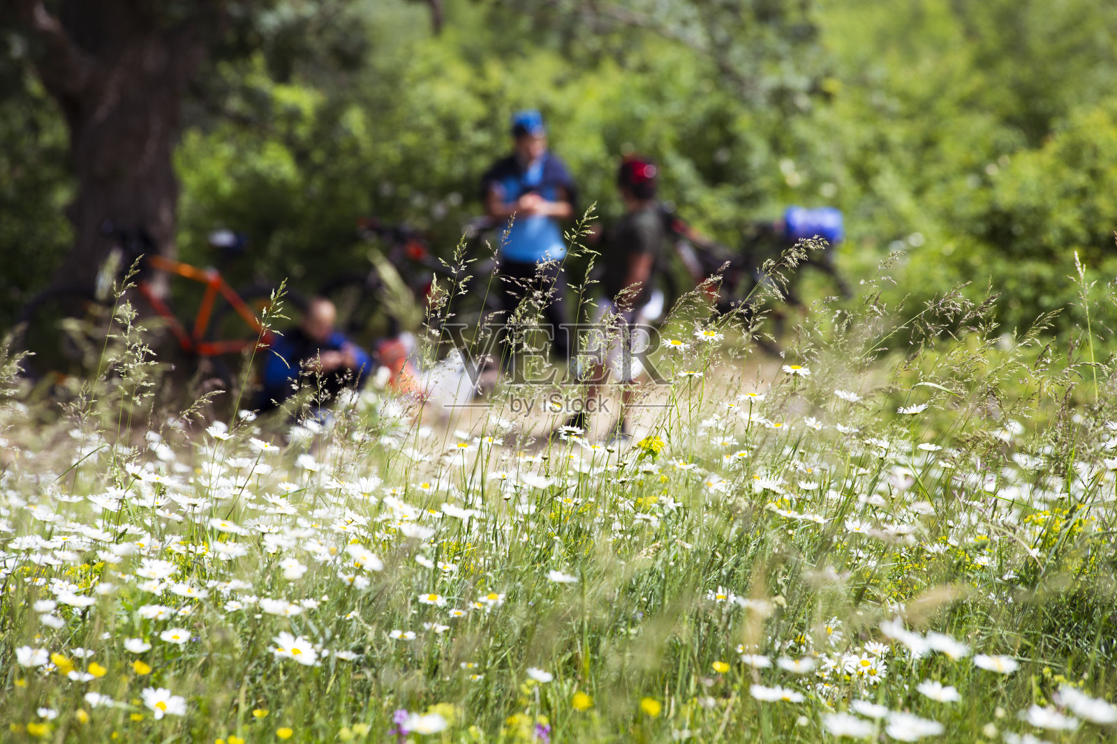 旅行。照片摄影图片