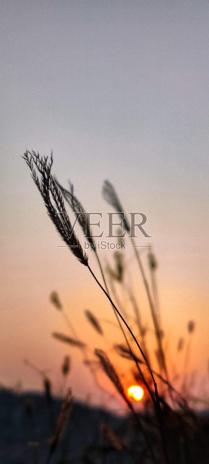 日落照片摄影图片