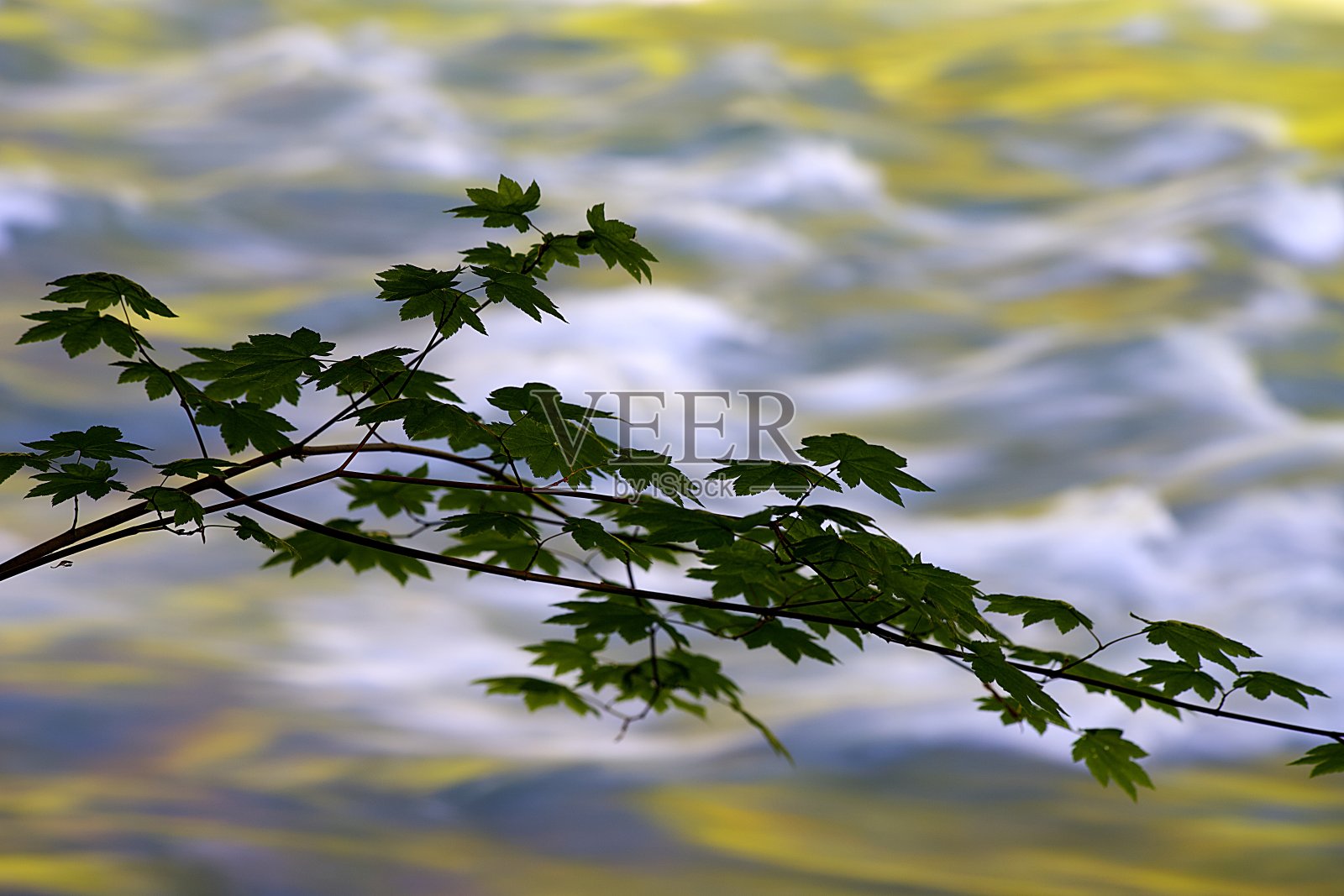 Duckabush河照片摄影图片