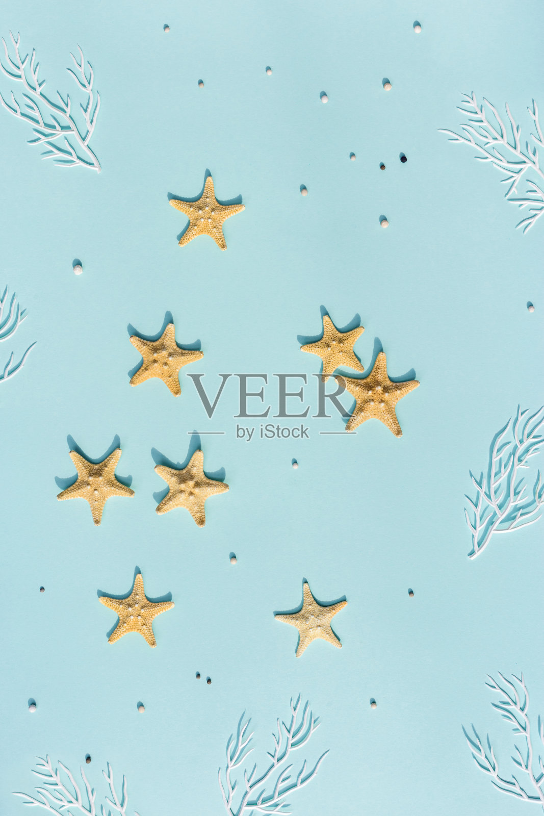 夏天的海面上,蓝色的背景上点缀着海星和白珊瑚。海洋生物主题。照片摄影图片