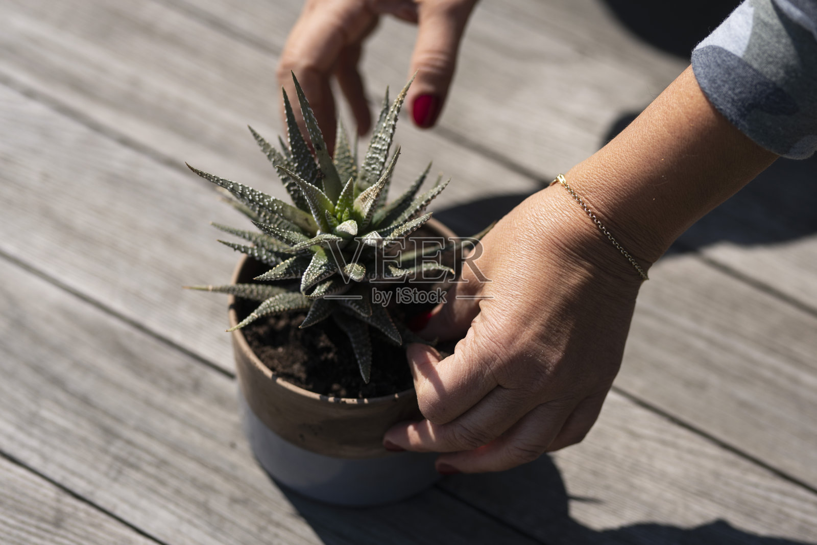 种植照片摄影图片