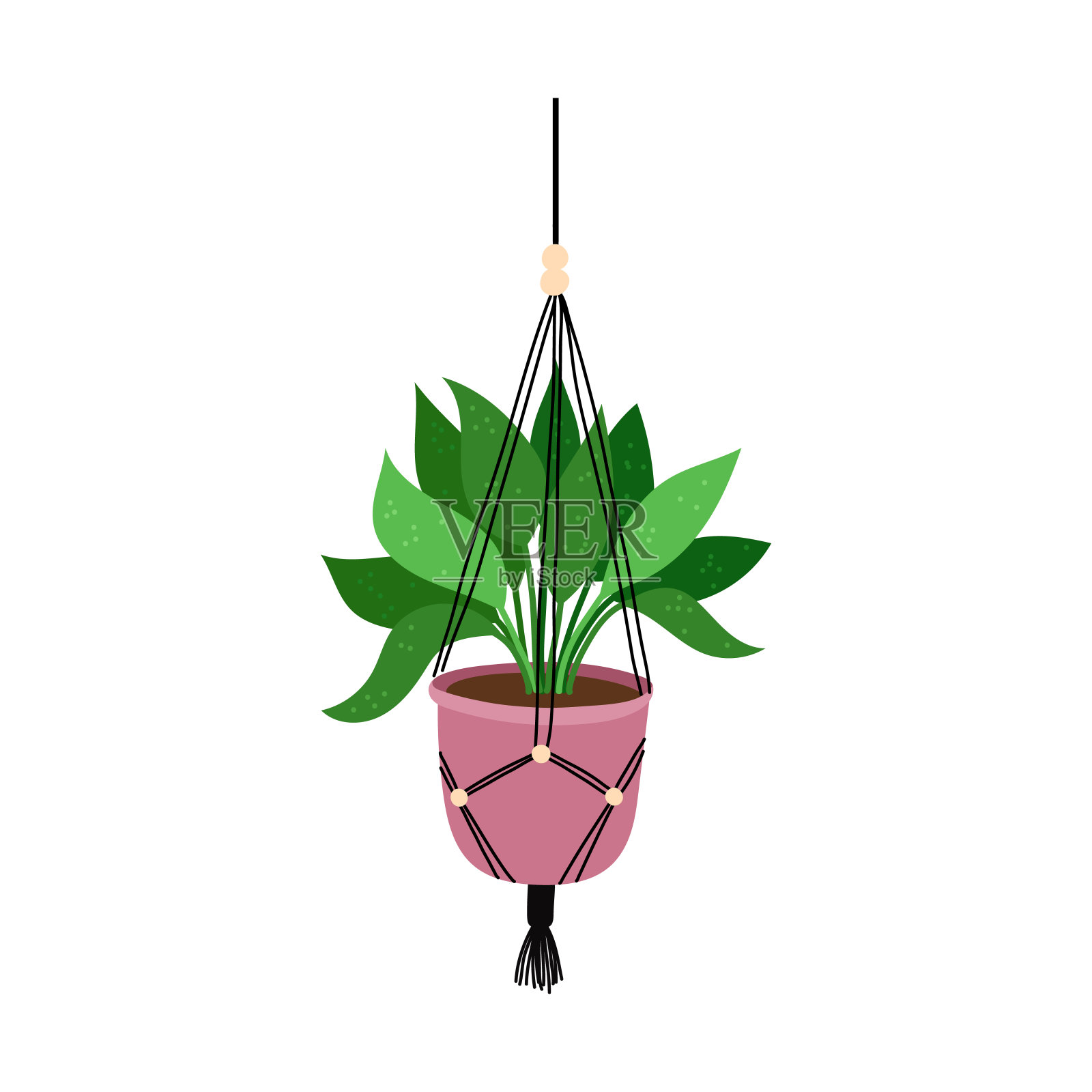 花在一个流苏壶,现代斯堪的纳维亚风格,室内装饰。悬挂植物。矢量手绘卡通插图插画图片素材