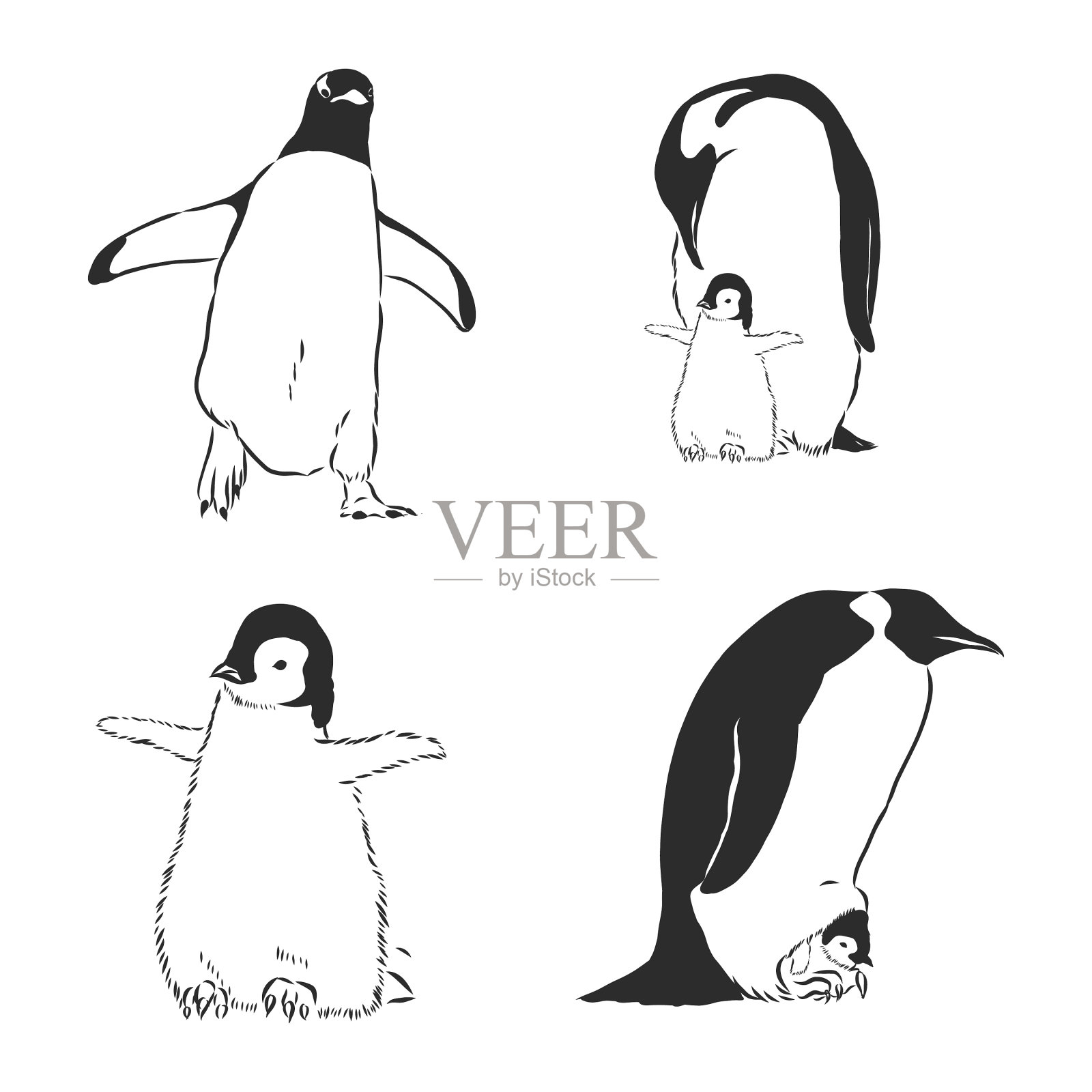 企鹅动物图标企鹅素描插画图片素材