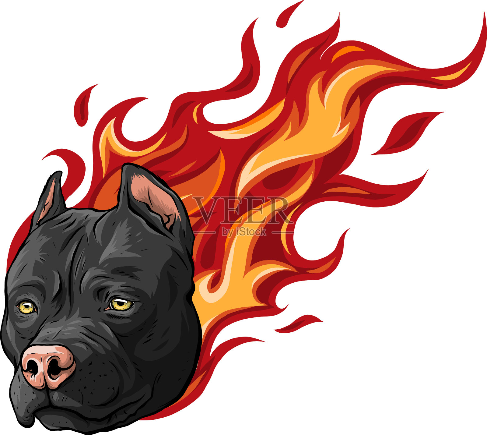 头犬,斗牛犬和火焰插画图片素材