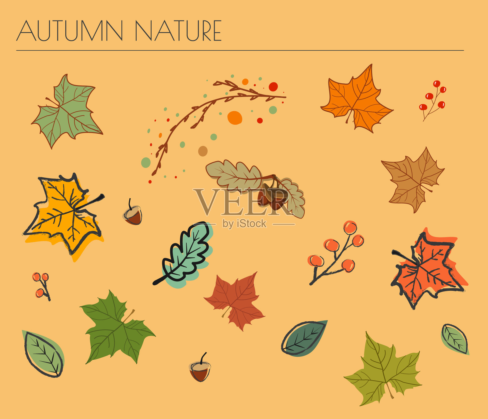 一套松果,橡子和秋天的叶子在秋天的颜色孤立矢量插图插画图片素材