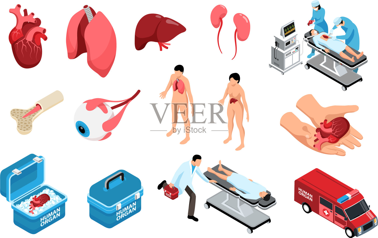 移植等距图标集插画图片素材