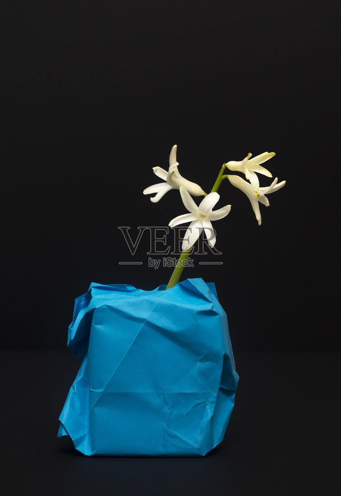 三个白色的风信子在蓝色的罐子里。照片摄影图片