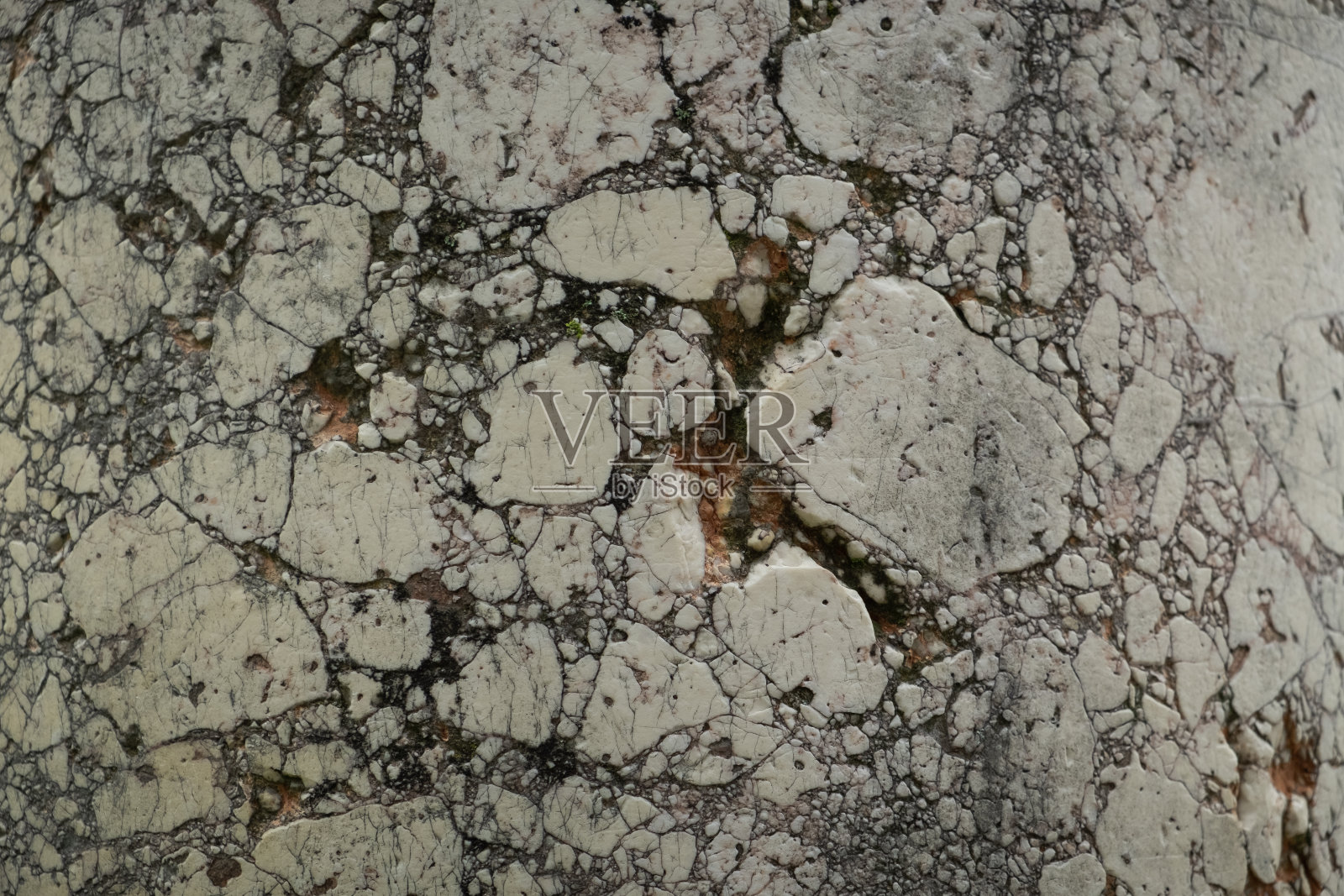 佛罗伦萨的鲜花和一瞥照片摄影图片