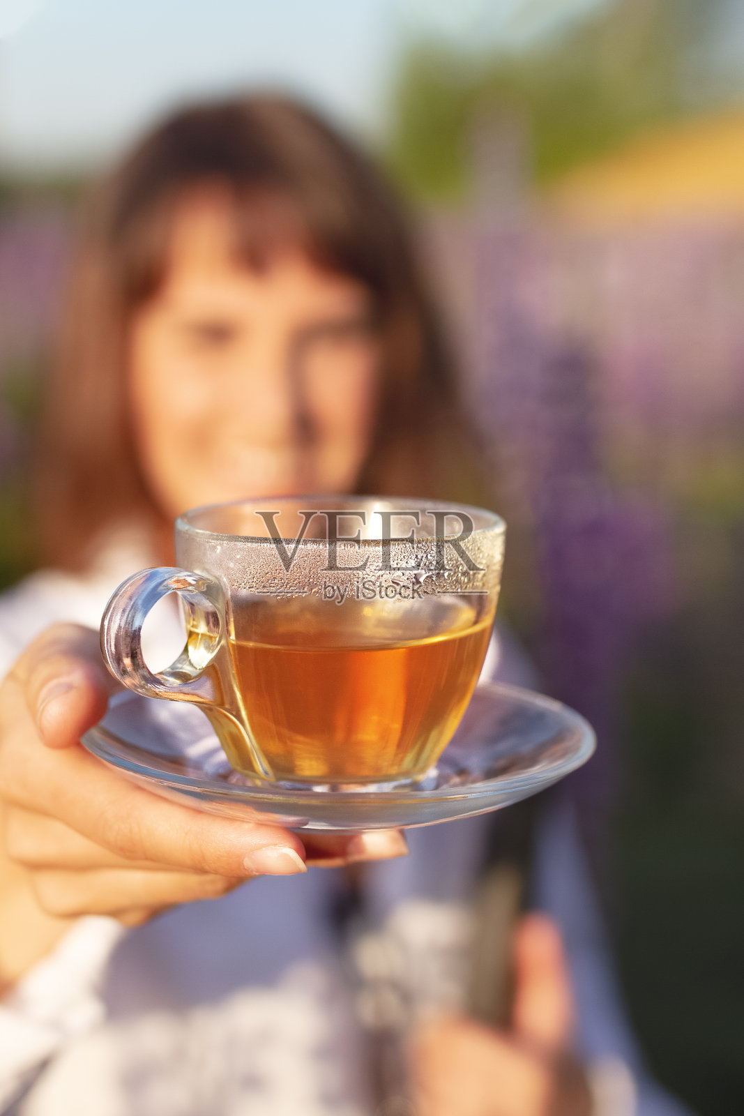 在薰衣草田里的女人手里拿着花茶照片摄影图片