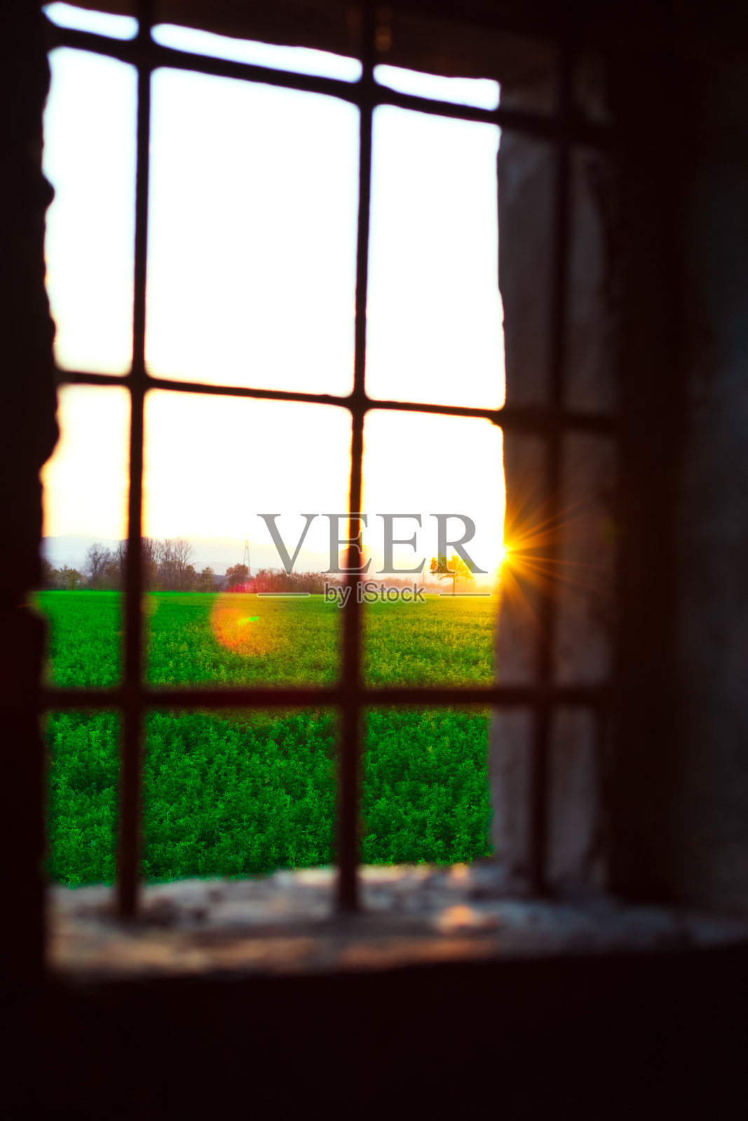 窗外。照片摄影图片