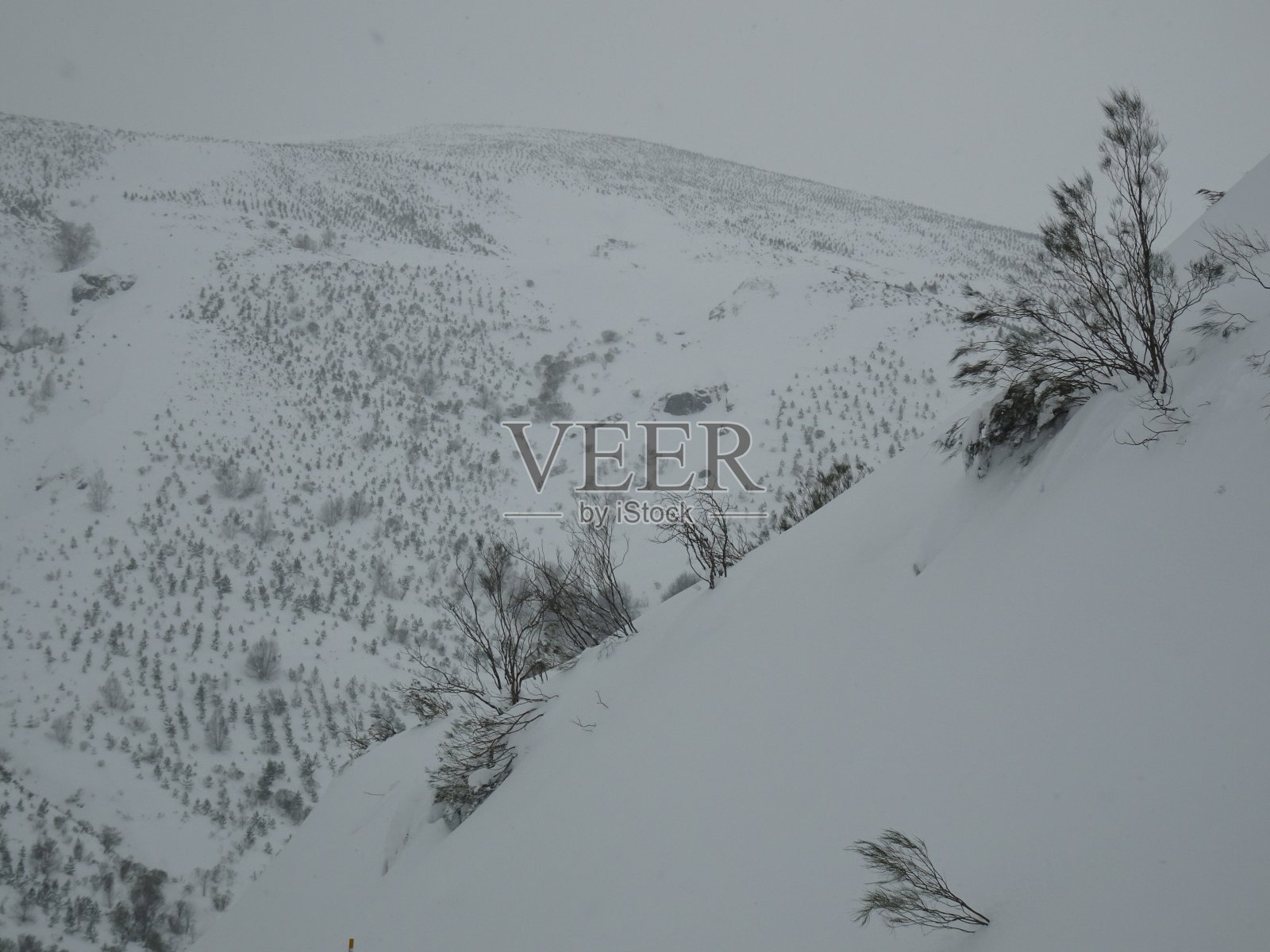 雪山照片摄影图片