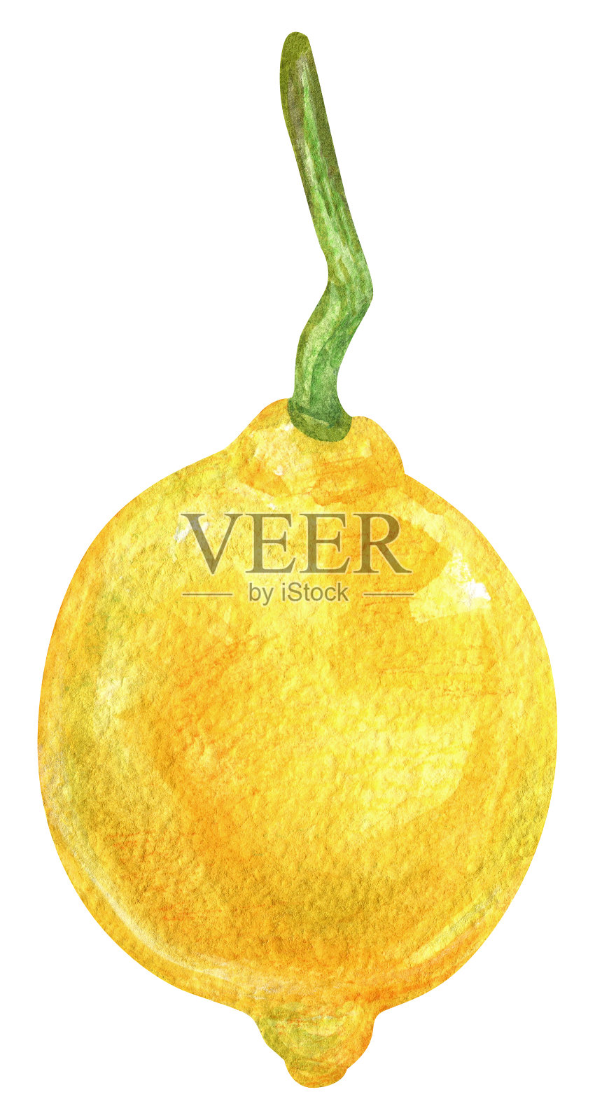 孤立的水彩元素。带叶子的柠檬水果。柑橘类。印刷用于包装设计、织物。插画图片素材