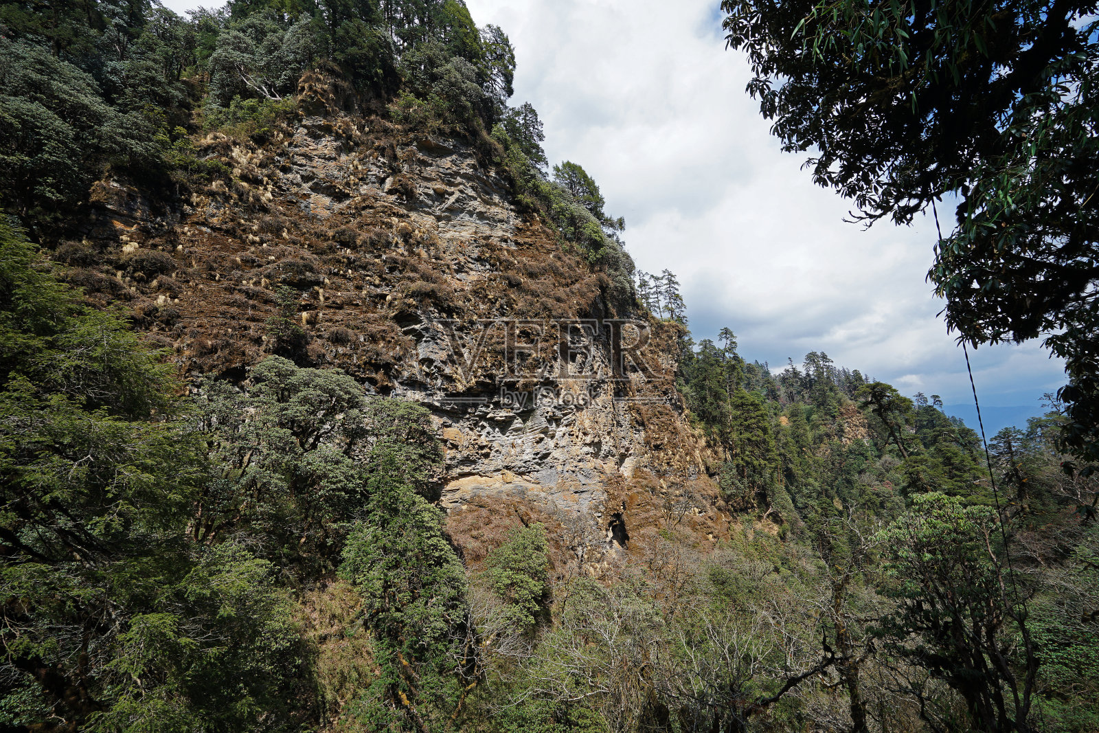 沿着通往尼泊尔安娜普纳喜马拉雅山脉ghrepani Poon山的徒步路线,绿色的大自然中布满岩石的台阶照片摄影图片