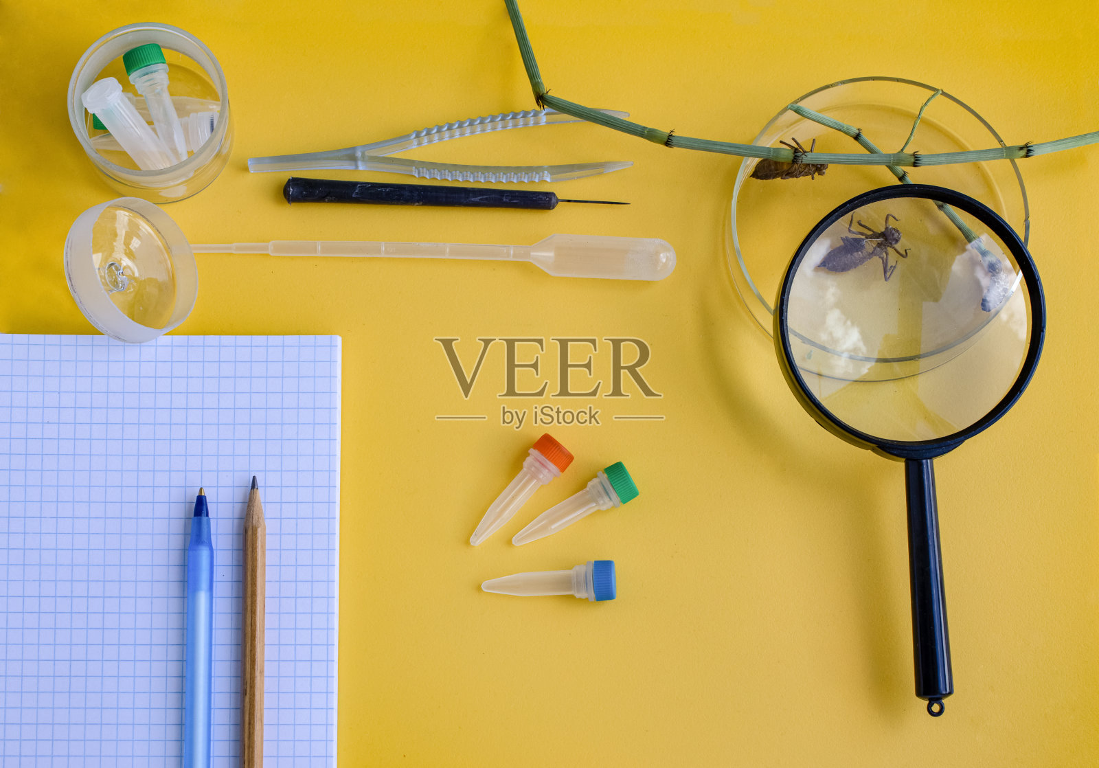 一套亮黄色背景的生物课学习用品:笔,放大镜,镊子,塑料管,吸管。理念:回到学校。Flatlay顶视图。照片摄影图片