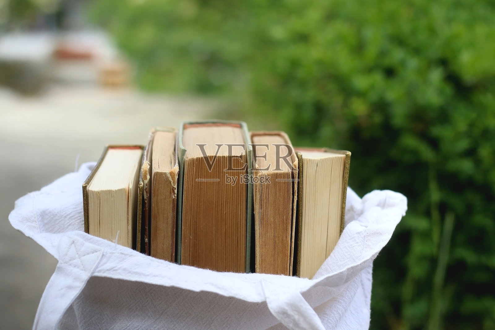 包里的书照片摄影图片