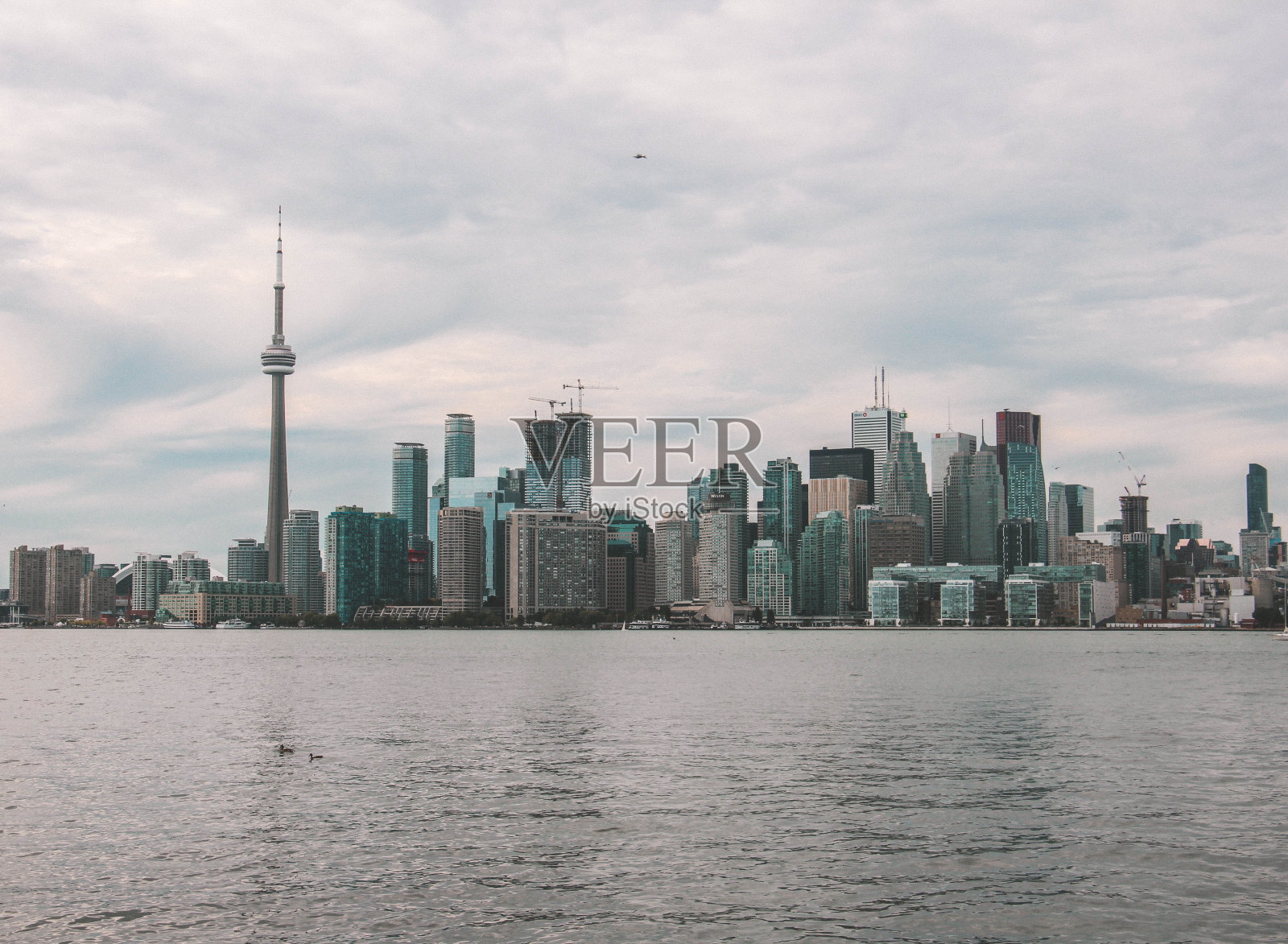 多伦多海滨天际线和加拿大安大略省多伦多的CN塔照片摄影图片