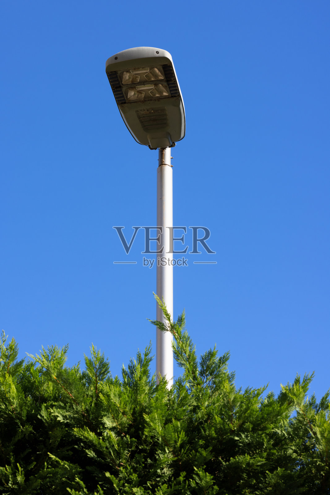 蓝天映衬下的街灯照片摄影图片