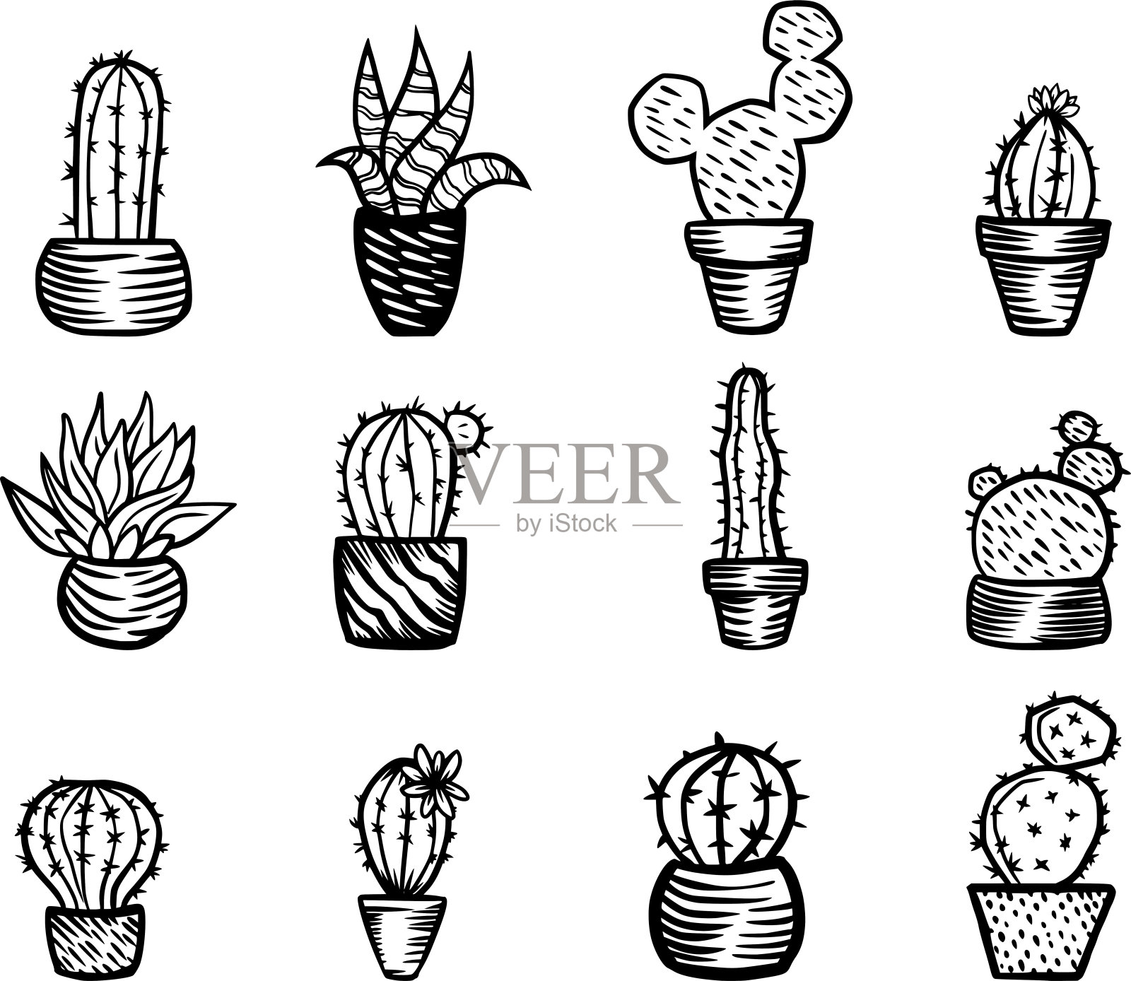 仙人掌的收藏。矢量插图。白色设计元素图片