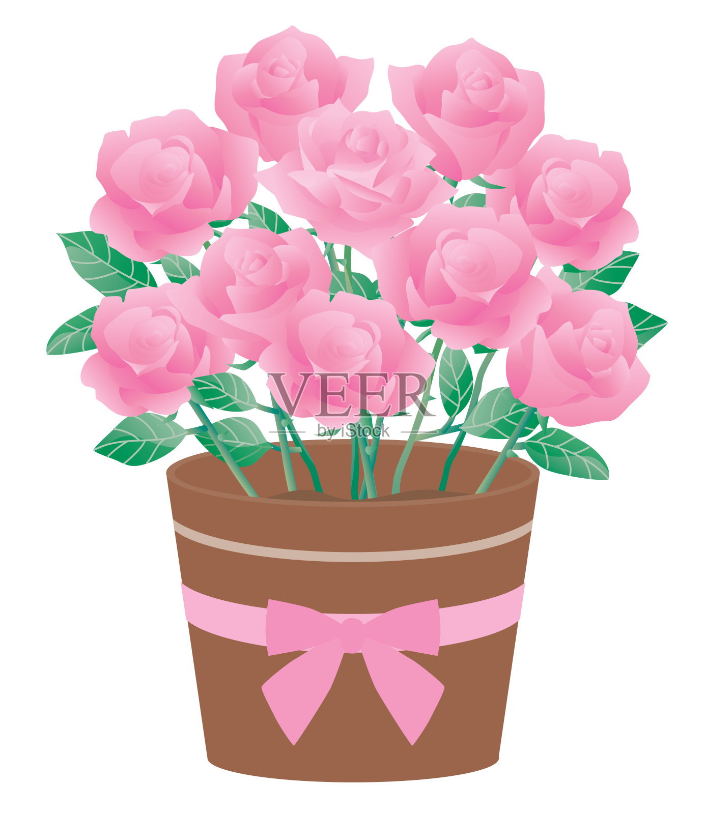 盆栽粉红玫瑰的插图插画图片素材