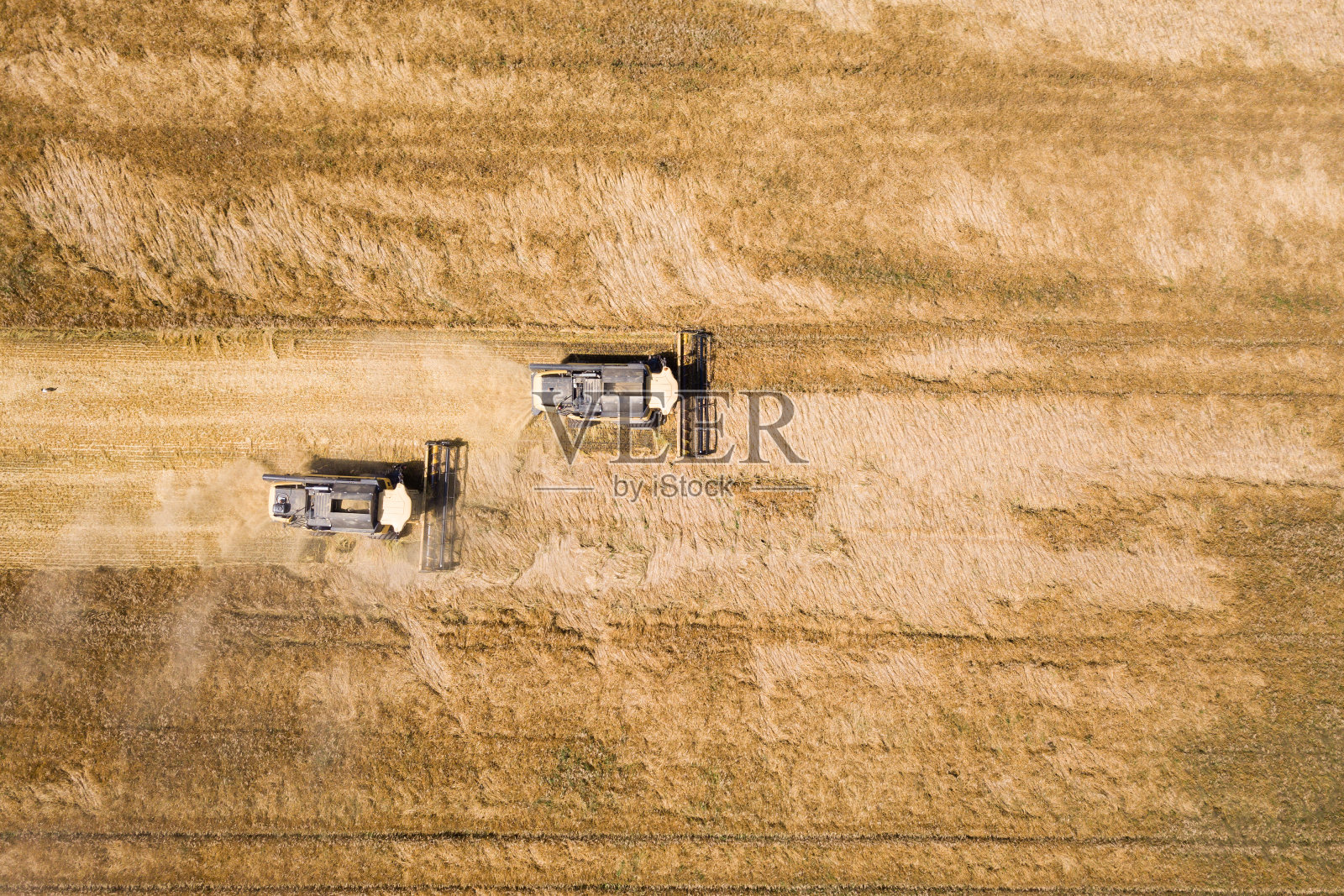 联合收割机收割大片黄熟麦田的鸟瞰图。照片摄影图片