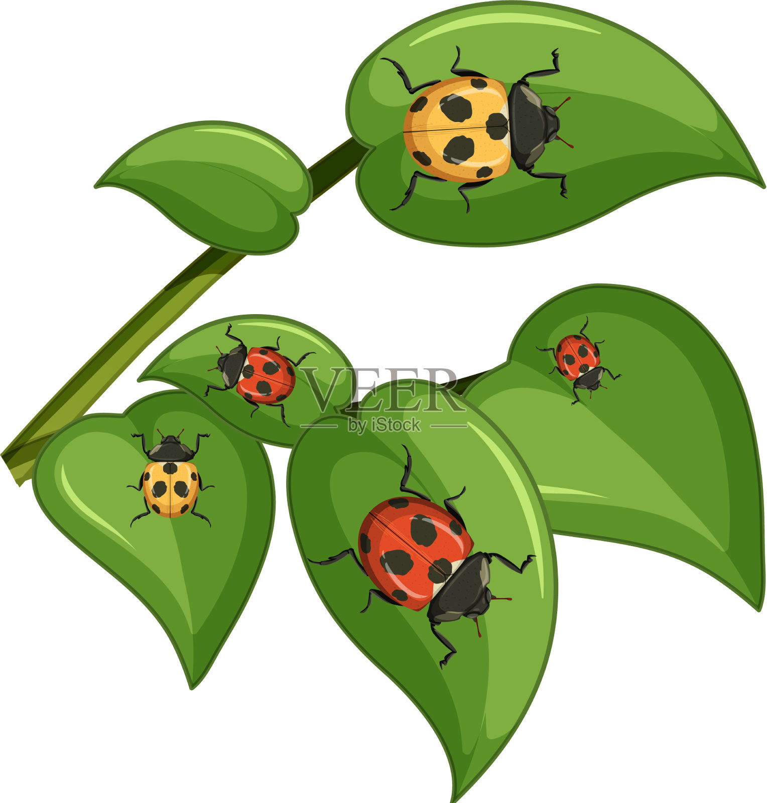 俯视图许多瓢虫的叶子设计元素图片
