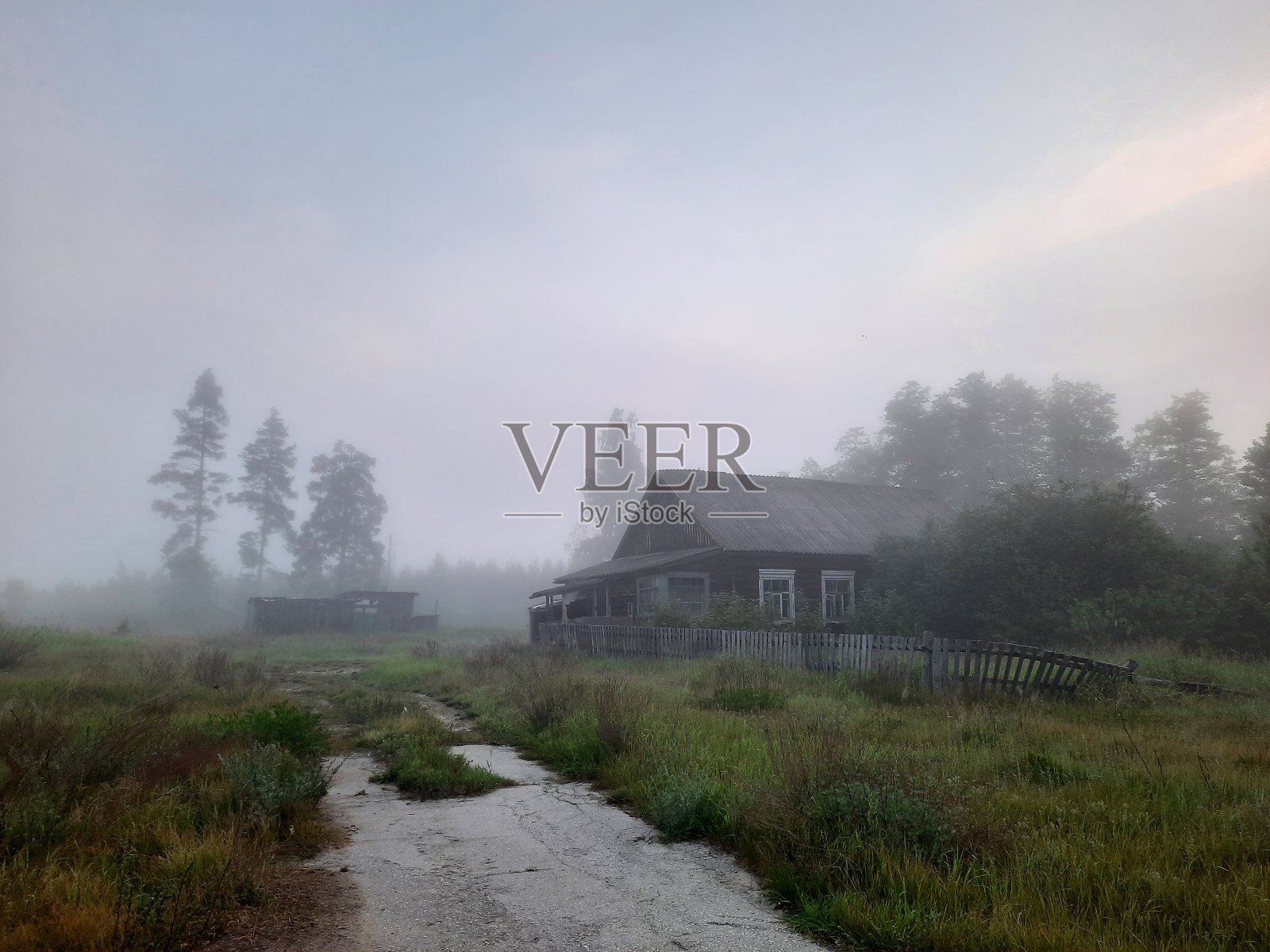 夏天的时间照片摄影图片