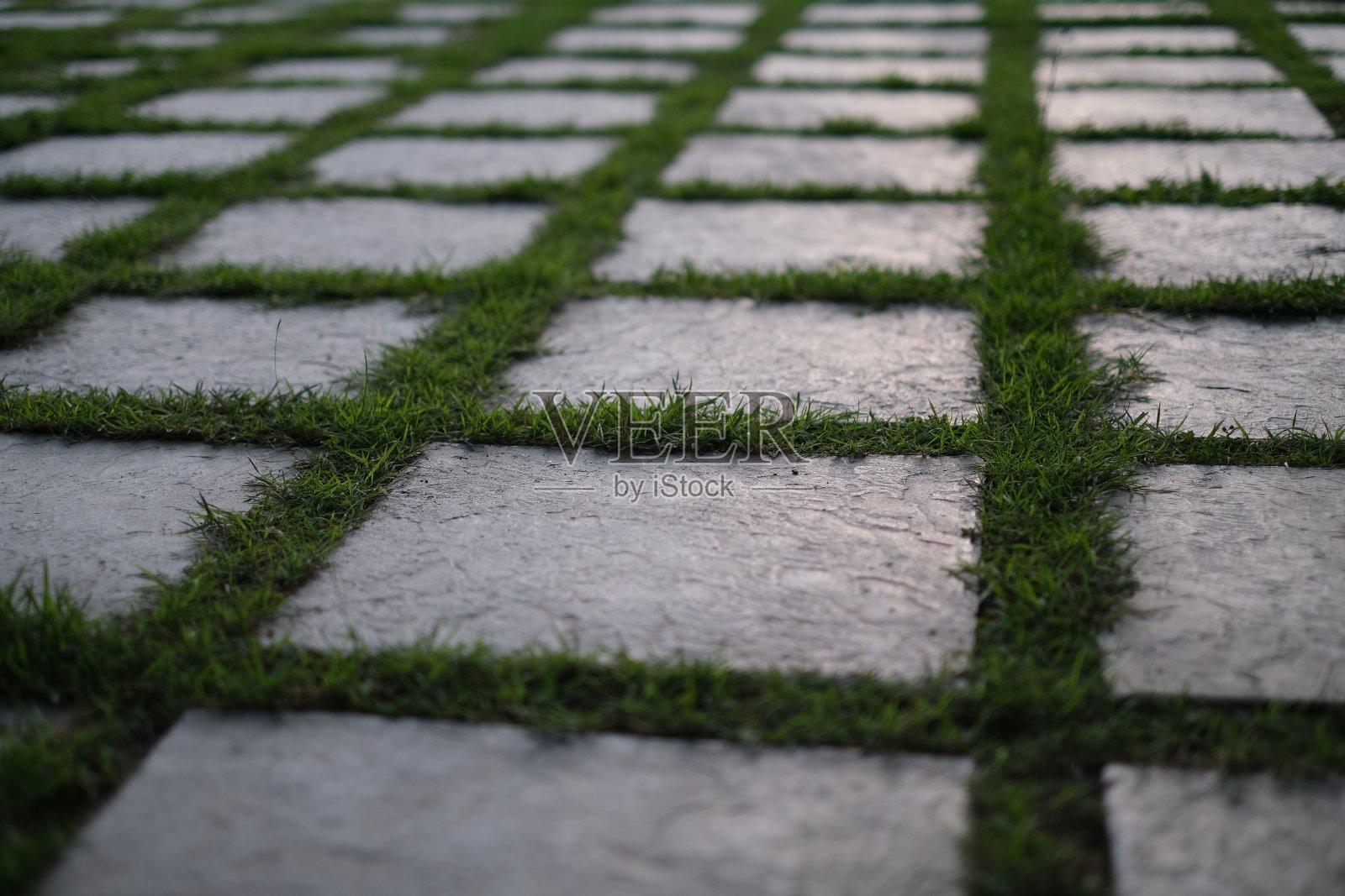 草丛中的瓦片照片摄影图片