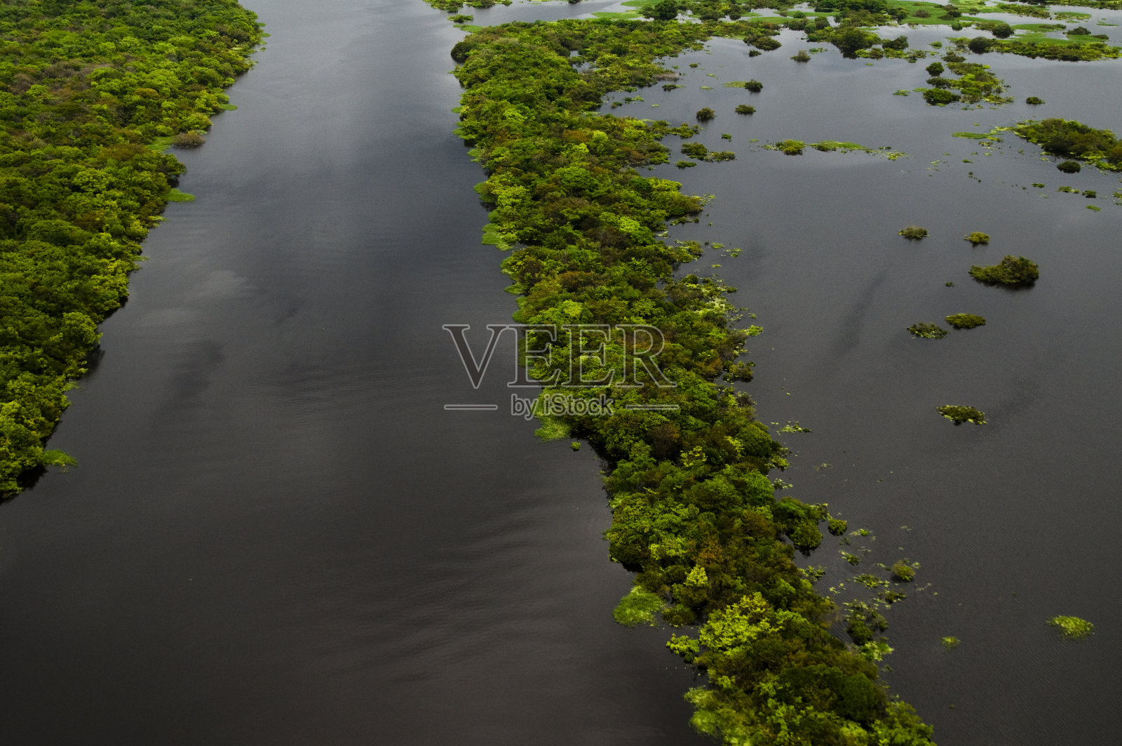亚马逊雨林河流的鸟瞰图照片摄影图片